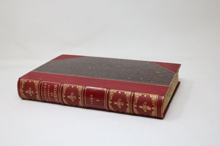 Null Comte de LACEPEDE (1756-1825)

"Histoire naturelle" en deux vol., Paris, Fu&hellip;