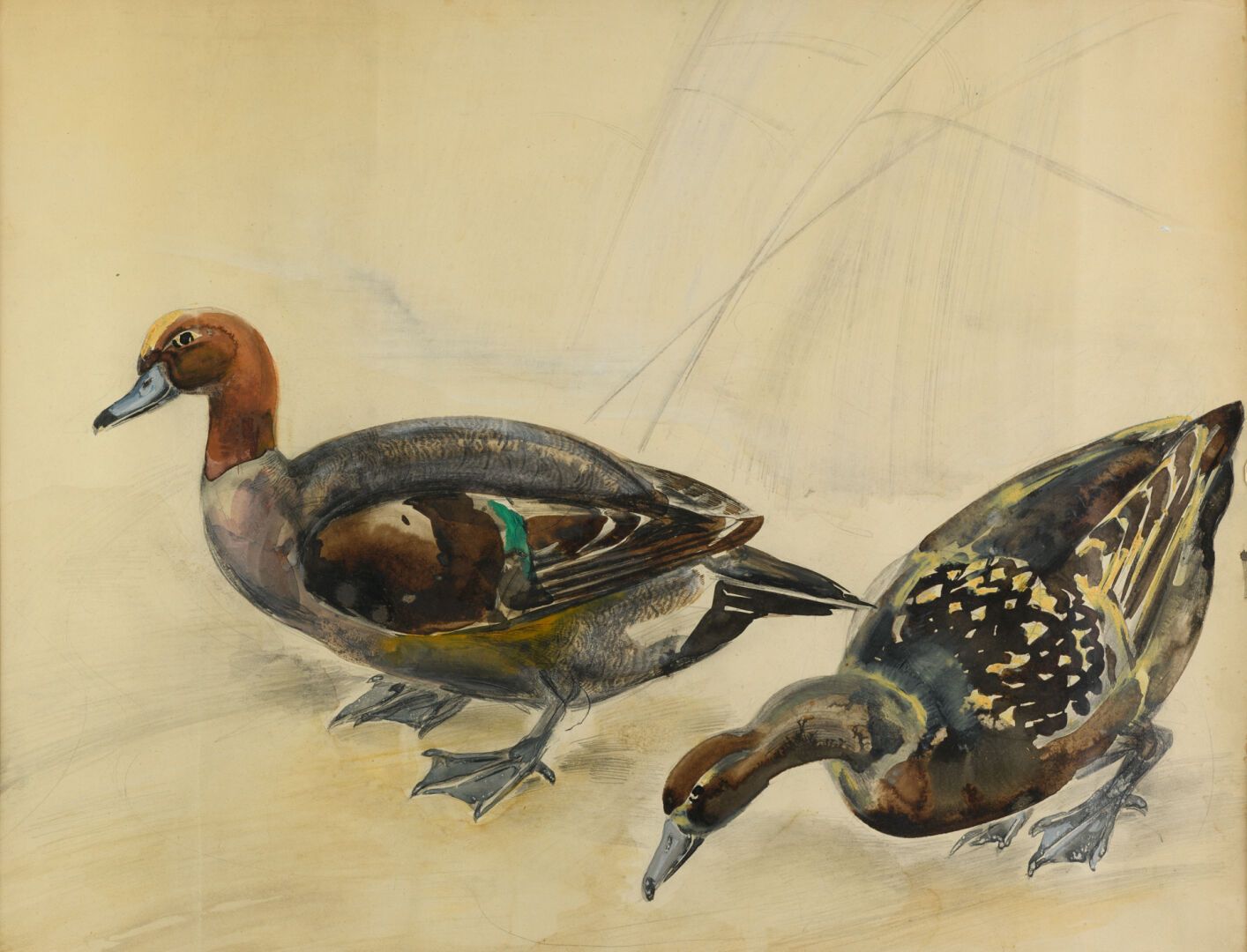 Null R.BIGOT "Les deux canards" aquarelle sur papier, Signé en bas à droite