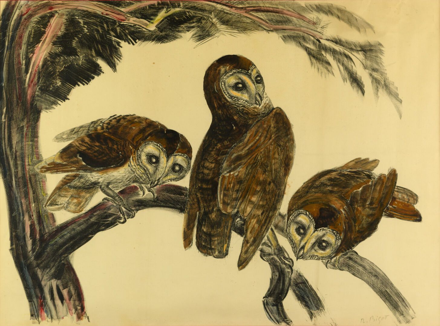 Null R.BIGOT 1872-1953 《猫头鹰》纸上水彩画，右下角有签名