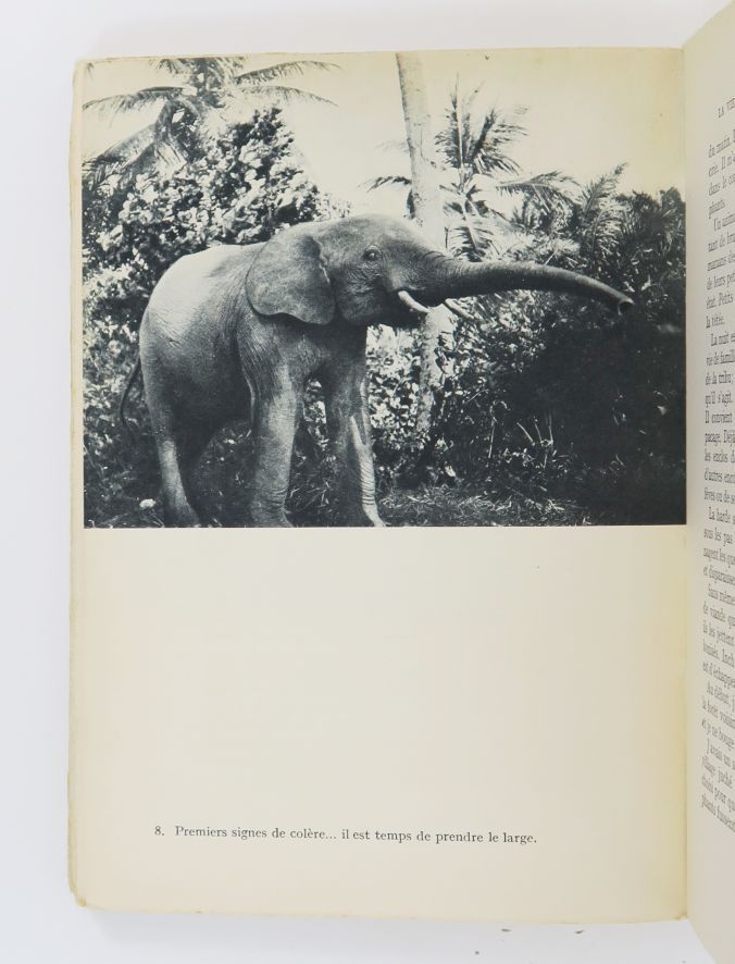 Null 大象。一套2册。

杰南（Albert），《非洲大象》。巴黎，帕约特，1947年。8开本，带角的咖啡色半长方形，书脊有装饰，封面保存。附有作者的140&hellip;