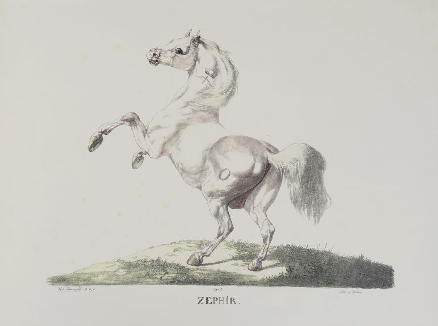 Null GEBAUER (Christian David).香港的口吃问题。Kopenhagen, Königl Kunstakademie, 1822(-1&hellip;
