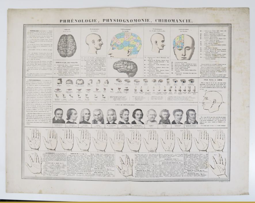 Null 膈肌学、相学、占卜学。[巴黎]，[Bouasse-Lebel]，[c. 1860]。

彩色石版画原件（55 x 71厘米）。

膈肌学部分包括大脑的&hellip;