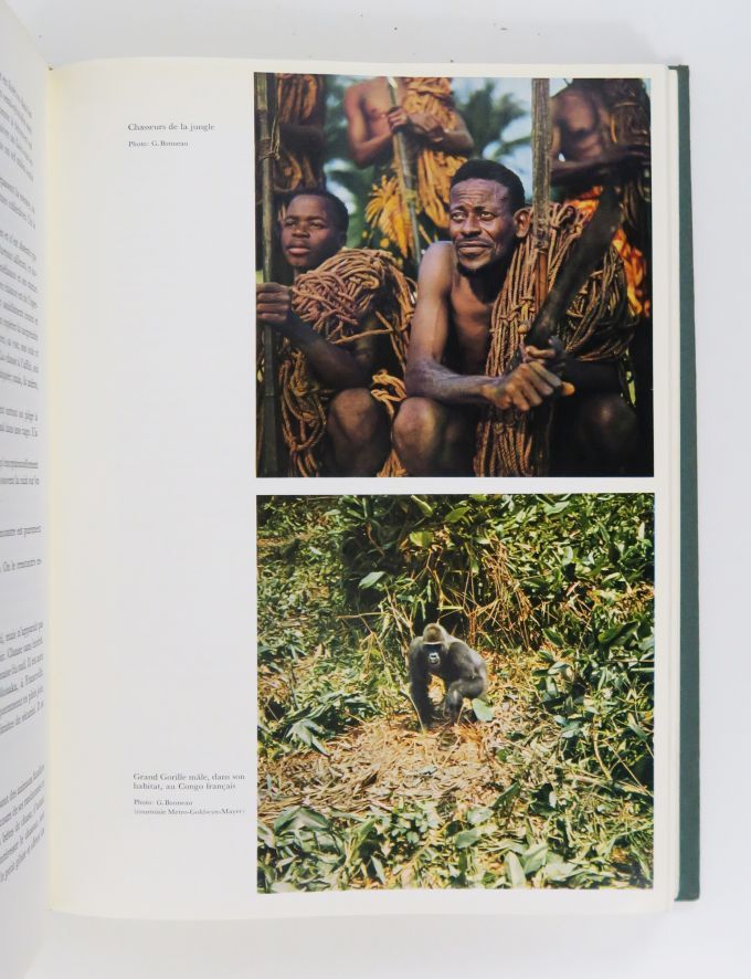 Null 非洲。Le Grand Livre de la faune africaine et de sa chasse.日内瓦，勒内-基斯特，1957年。

&hellip;