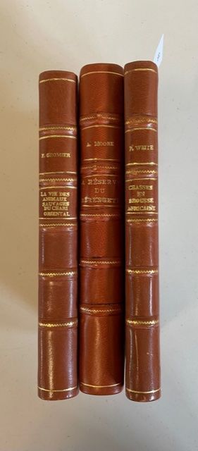 Null Africa. Set of 3 volumes in uniform half tan binding with corners, spine gi&hellip;
