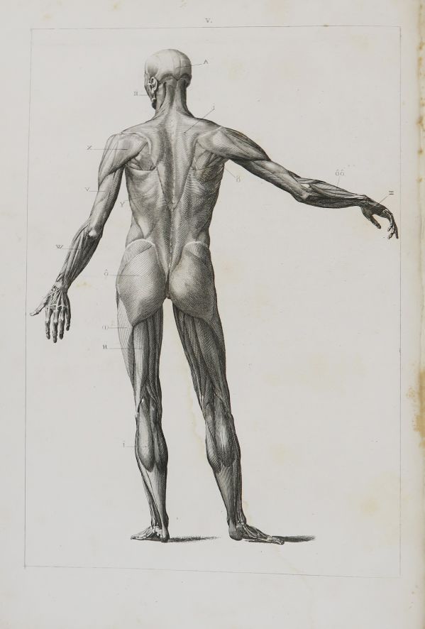 Null CHAUSSIER（弗朗索瓦）。供打算学习外科、医学、绘画和雕塑的年轻人使用的解剖板。巴黎，C. L. F. Panckoucke，1823。

四开&hellip;