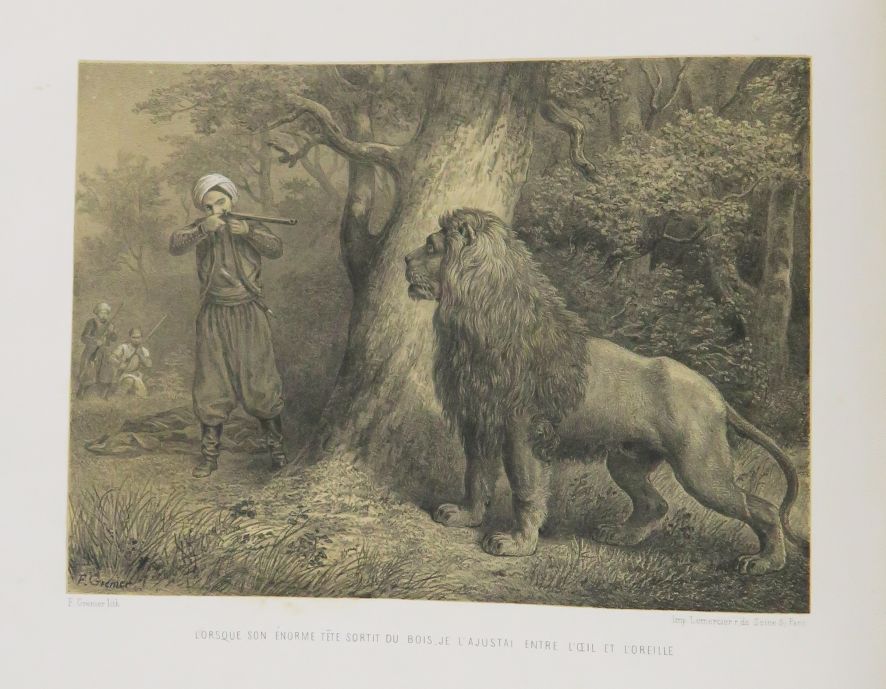 Null GÉRARD (Jules). Les Chasses d'Afrique. Illustrées par MM. GRENIER et DE MOR&hellip;