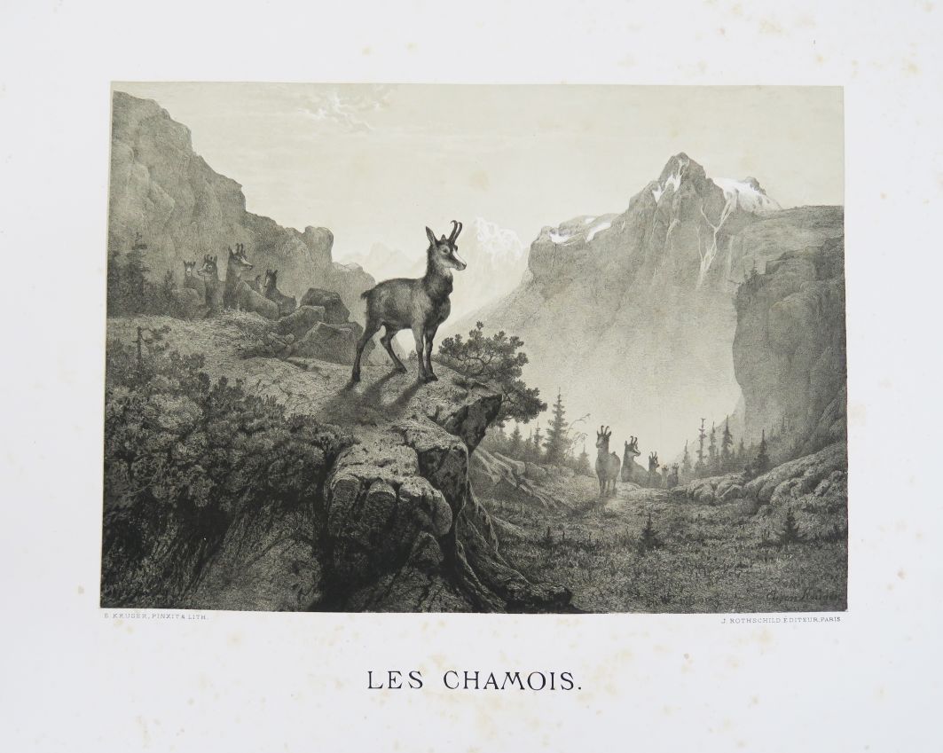 Null RÉVOIL (Bénédict-Henry). Le Rêve du chasseur. Gibier des bois. - Plaines. -&hellip;