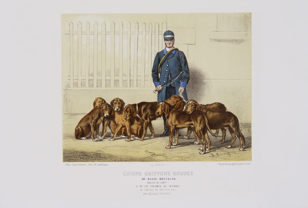 Null CREMIERE（Léon）。一套9个代表猎犬的盘子。Sl, [c. 1865].

页码（36 x 24厘米，有边框）。

这套书包括一张原始照片、&hellip;