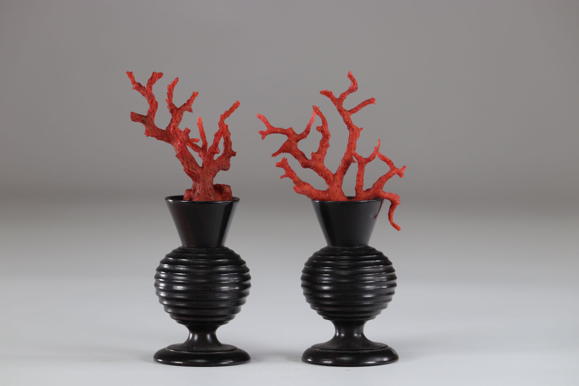 Curiosité pair de vases décoré de corail rouge 19ème Curiosité pair de vases déc&hellip;