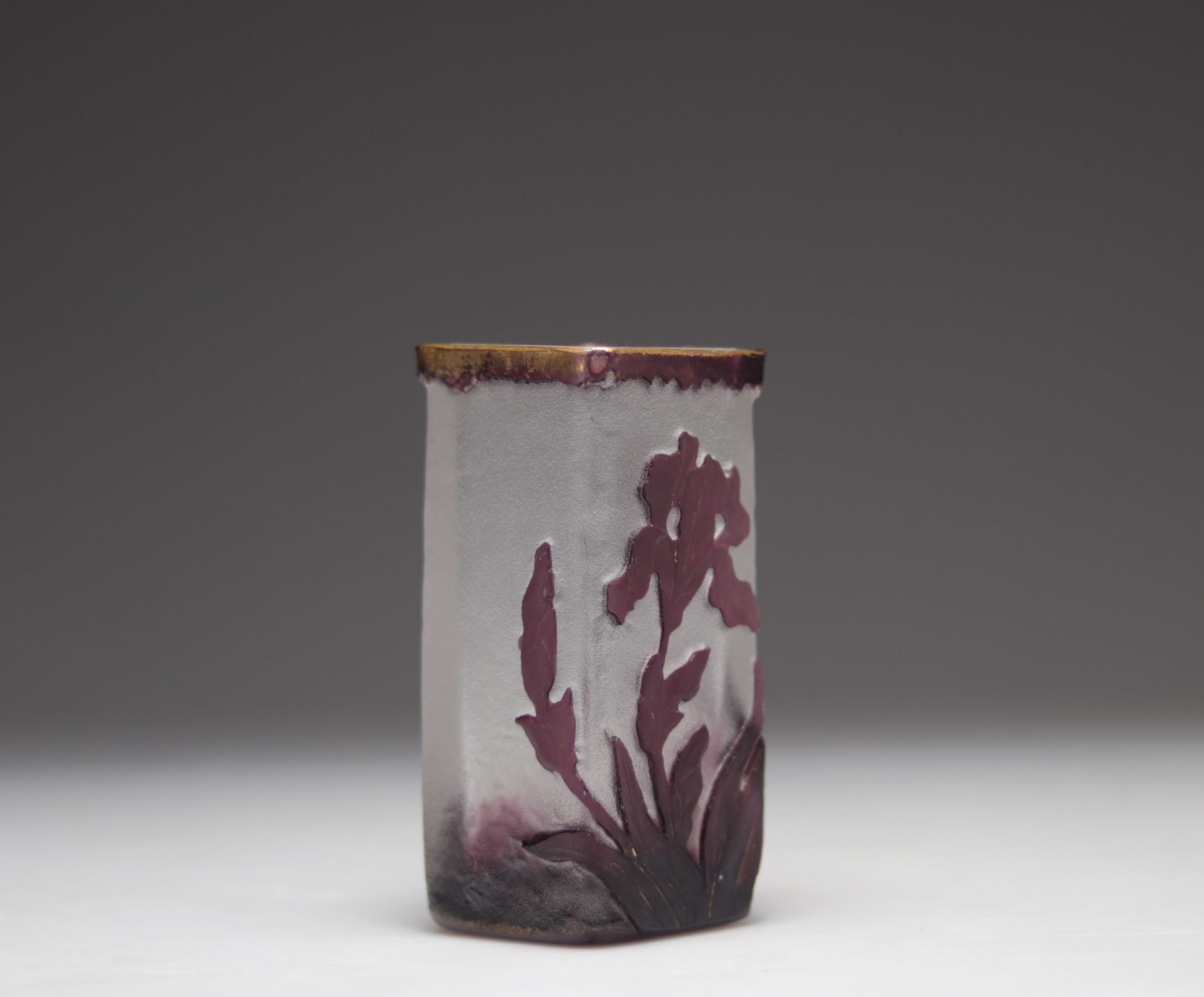 Null Daum Nancy vase camé à décor d'iris violet
Poids: 400 g
Livraison disponibl&hellip;