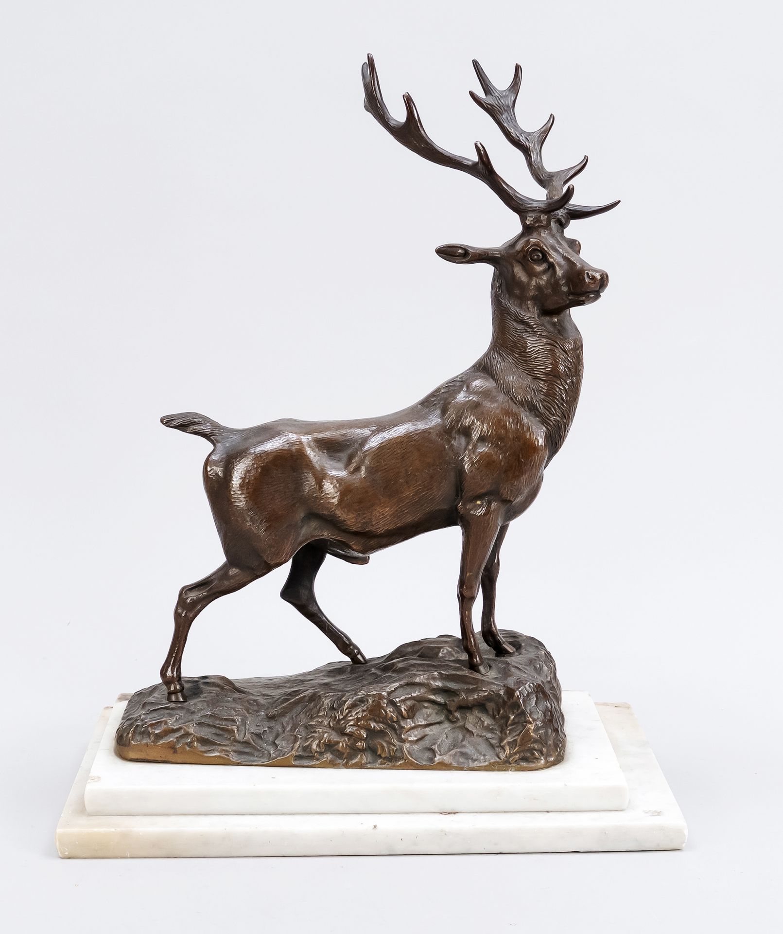 Null 匿名的动物雕塑家，约1900年，大写的雄鹿，棕色的青铜在阶梯状的大理石基座上，没有签名，基座被摩擦，总高度45厘米。