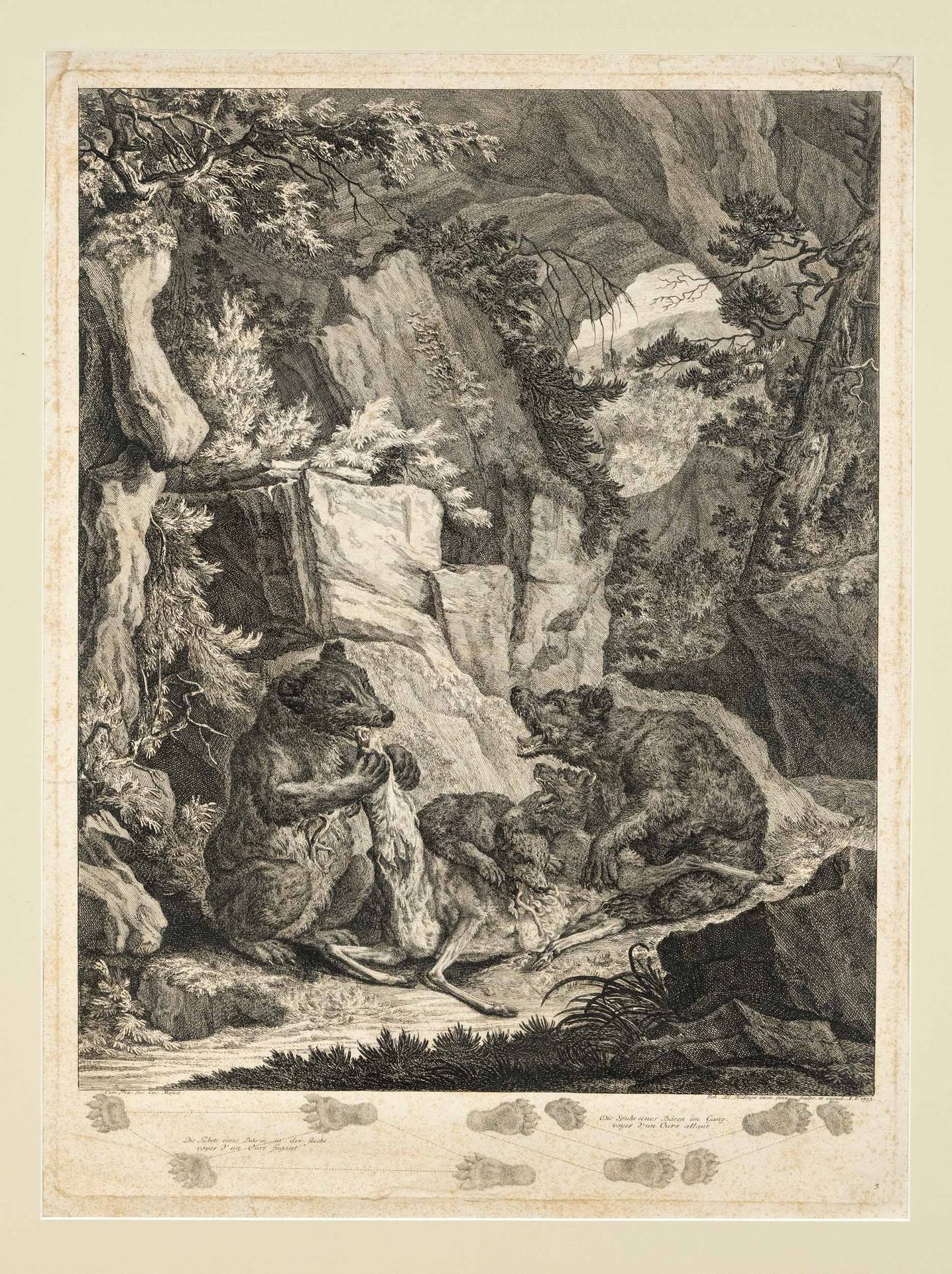 Null 约翰-埃利亚斯-里丁格（1698-1767），两幅狩猎版画。熊抢夺雄鹿，森林场景中的熊家族在一个山洞前，在描绘熊的足迹在奔跑，在走廊上，大型蚀刻画在手&hellip;