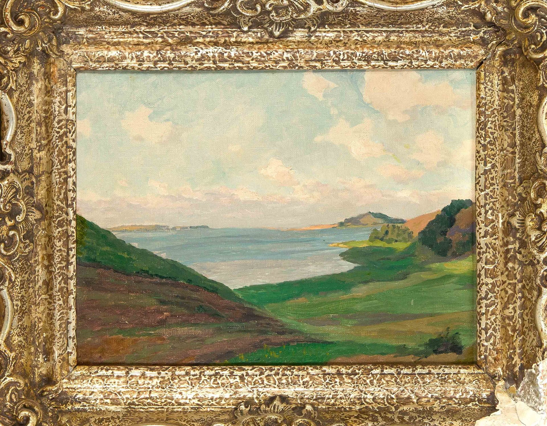 Null 匿名风景画家 20世纪上半叶，夏季海岸风景，布面油画，夹板上层压，无签名，28 x 39厘米，带框（有缺陷），45 x 55厘米