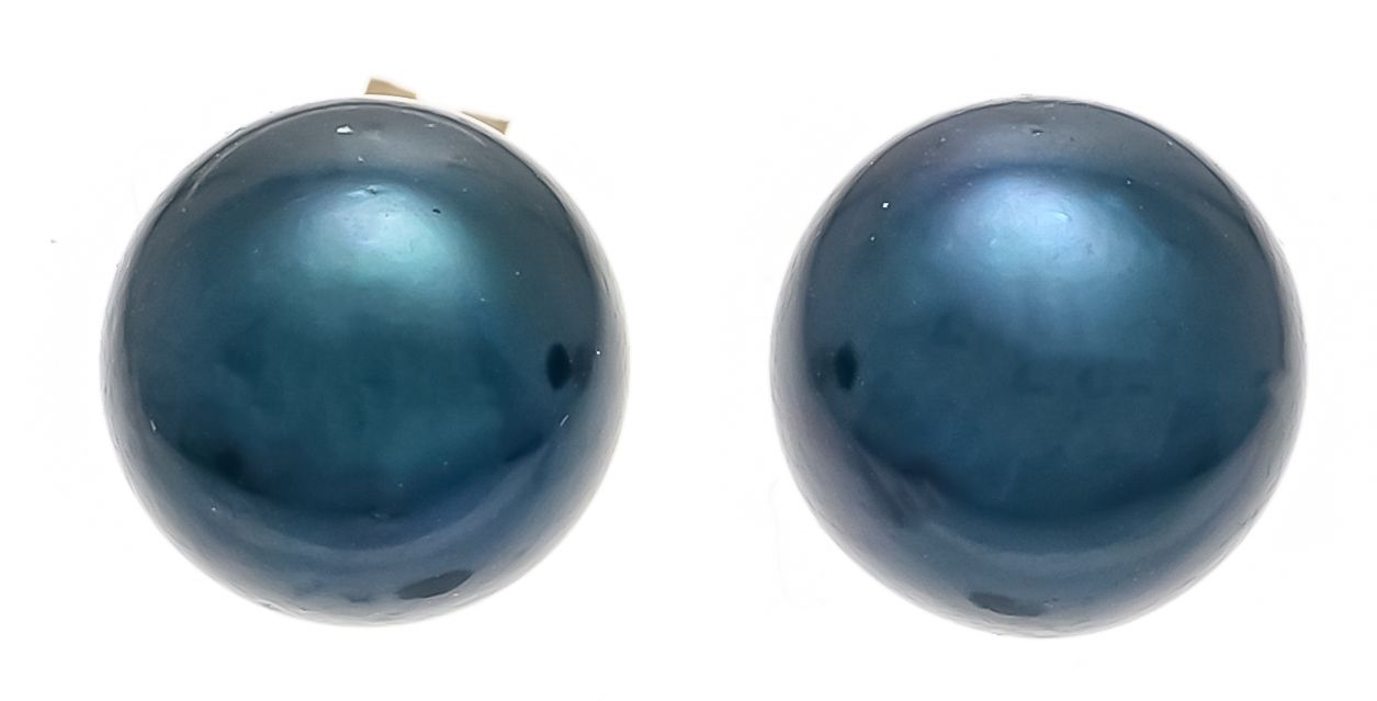 Null 珍珠耳环GG 585/000 配有2颗7毫米深灰色养殖珍珠，重1,6克