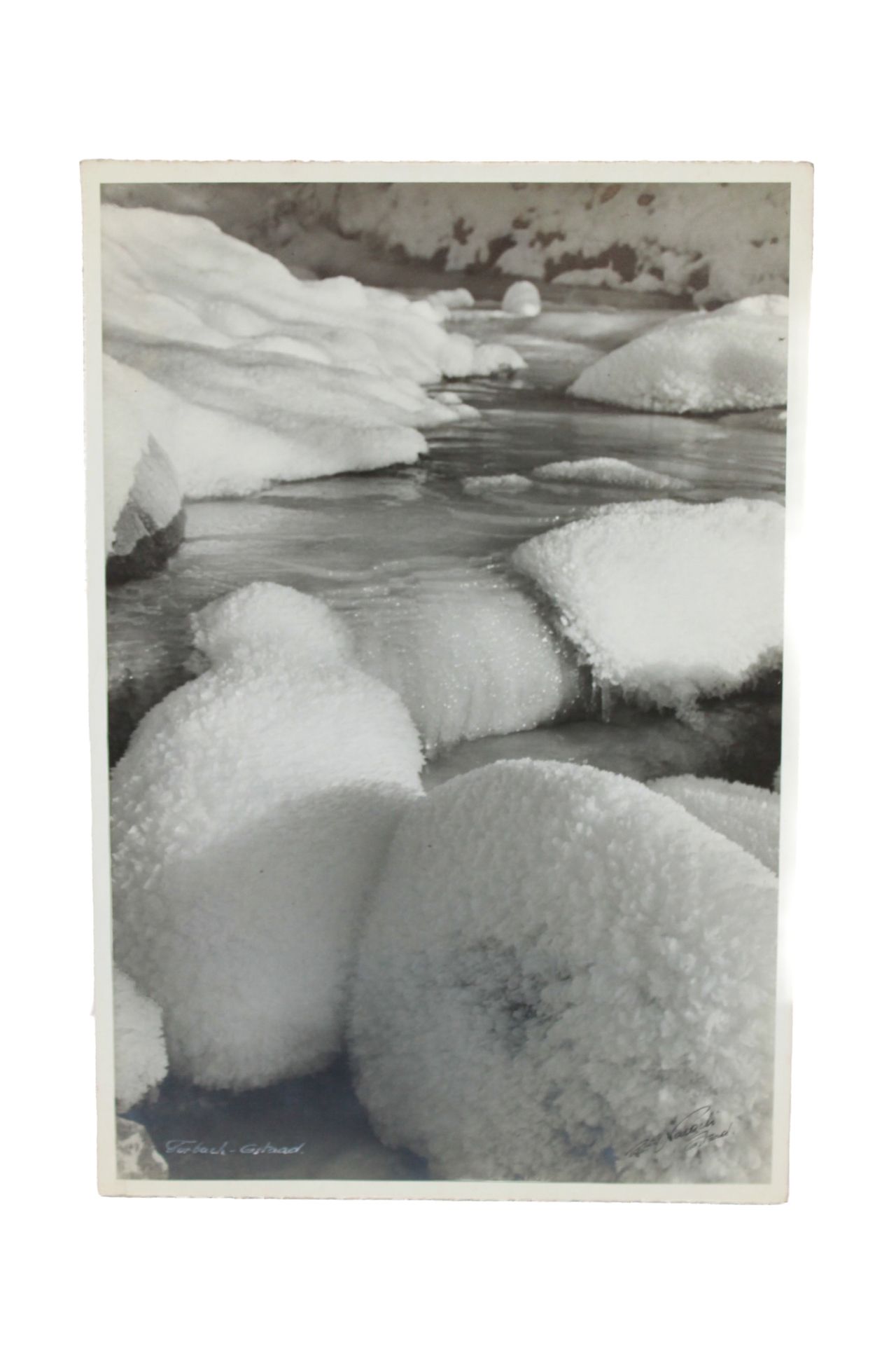 Naegeli, Jacques 28,5 x 19,5 cm
Schwarz-Weiß-Fotografie, rückseitig rechts unten&hellip;