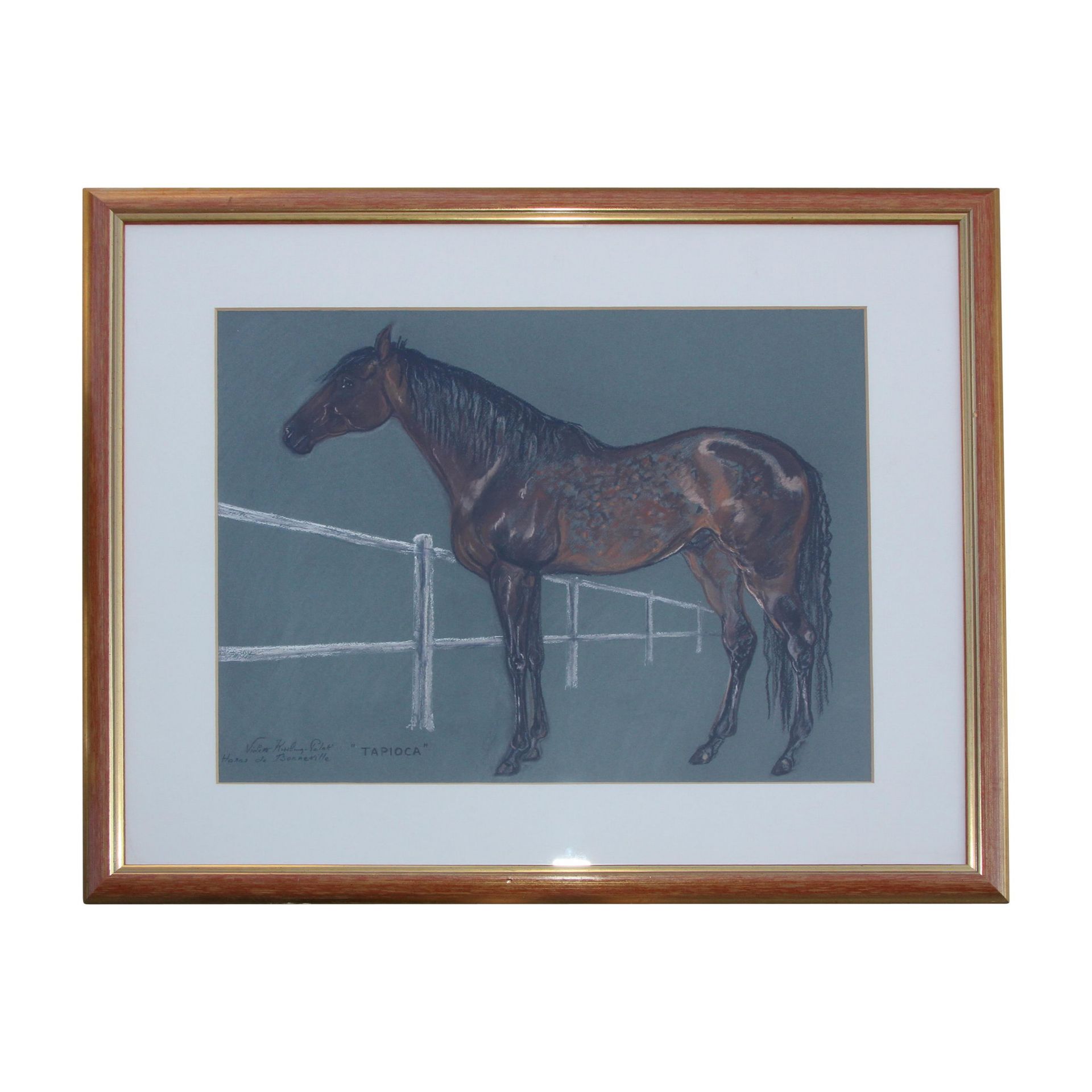 Null 1 Dessin au fusain sous verre avec cadre en bois, représentant un cheval de&hellip;