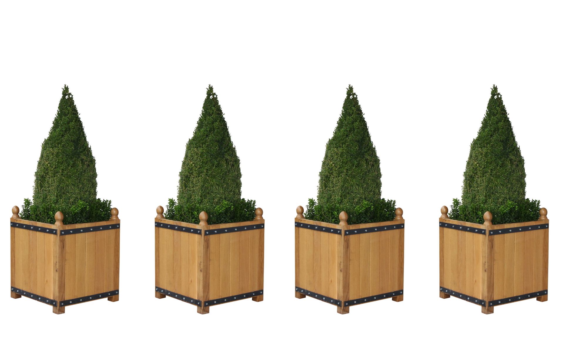Null 1 Set of 4 planters in raw oak with boxwood cone in the center and small bo&hellip;