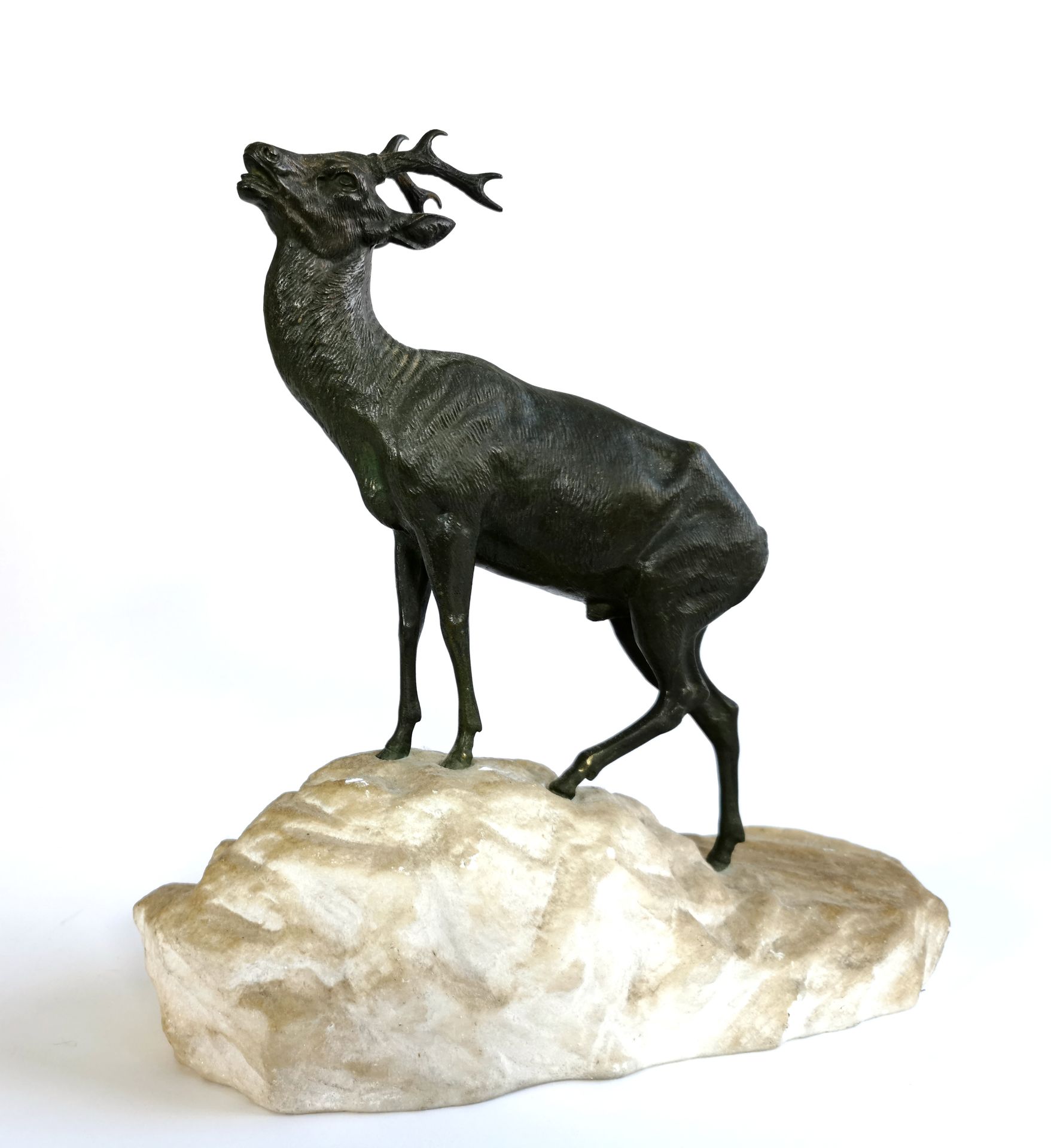 Null Jules Edmond MASSON (1871-1932), d'après

Le brame du jeune cerf

Bronze à &hellip;