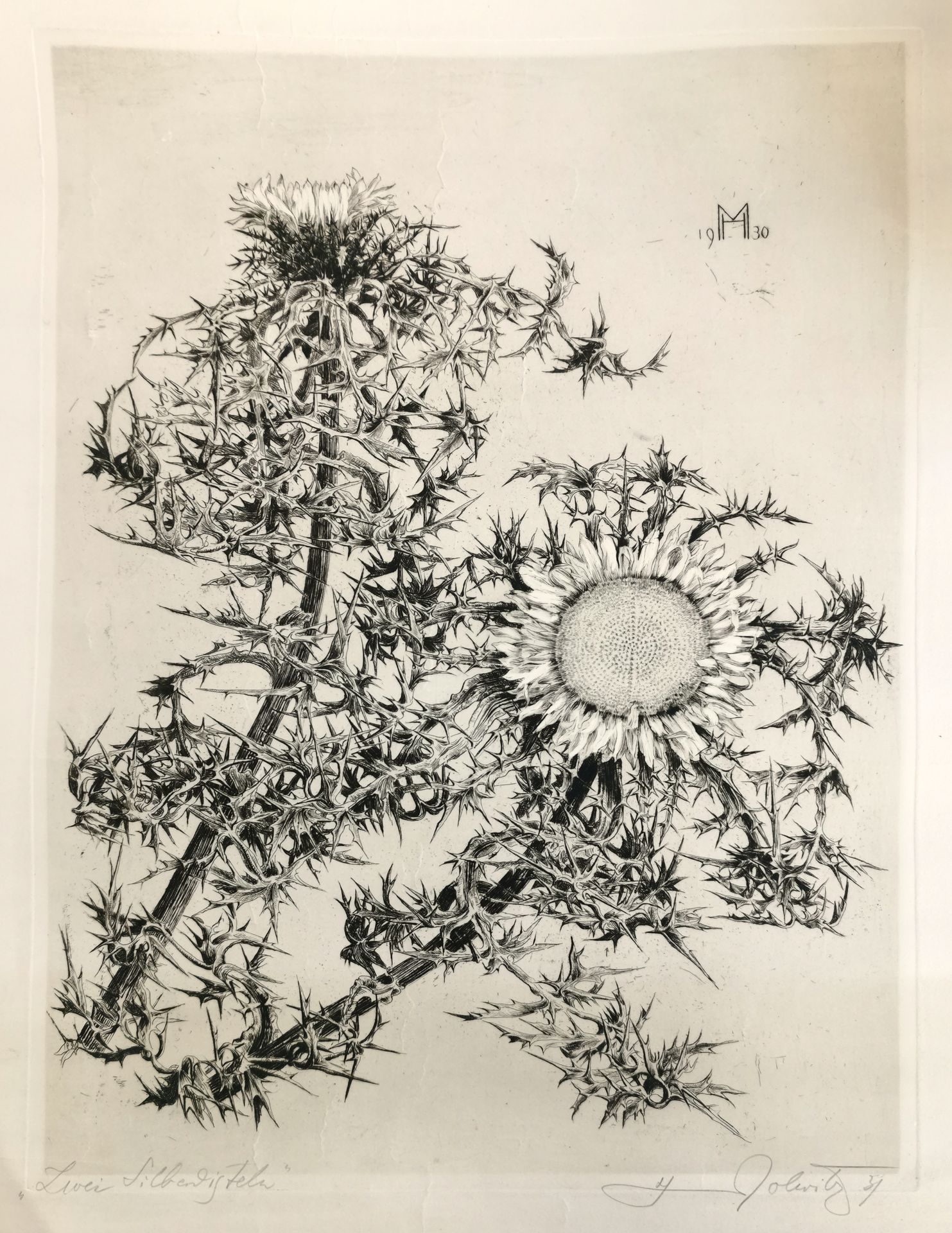 Null H. MOLEVITZ (School of the 20th century)

Thistles

Black engraving monogra&hellip;