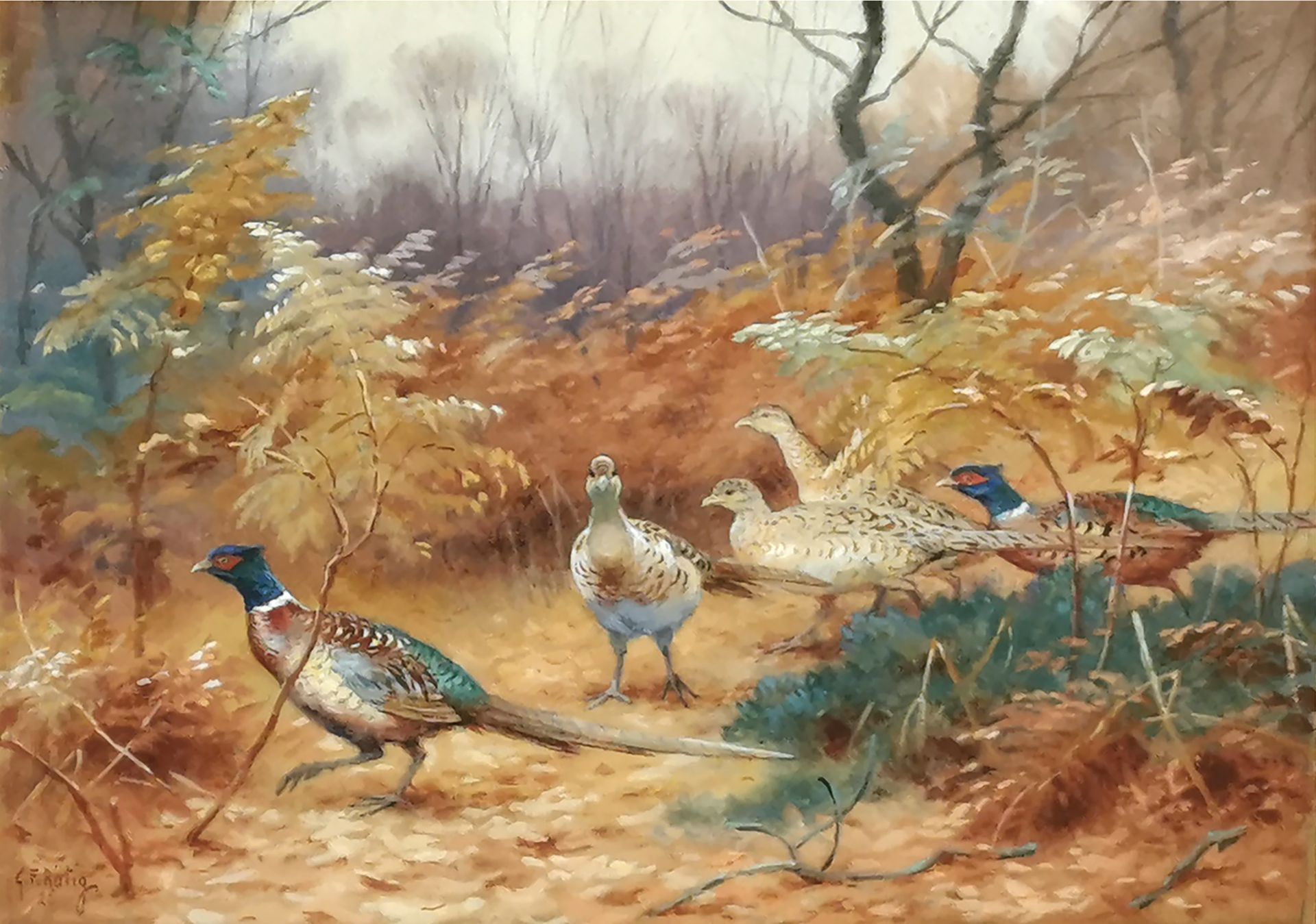 Null 乔治-弗雷德里克-罗蒂格 (1873-1961)

雉鸡，1926年

纸上水粉画，有签名和日期

21 x 28.5 cm 正在观看

有框