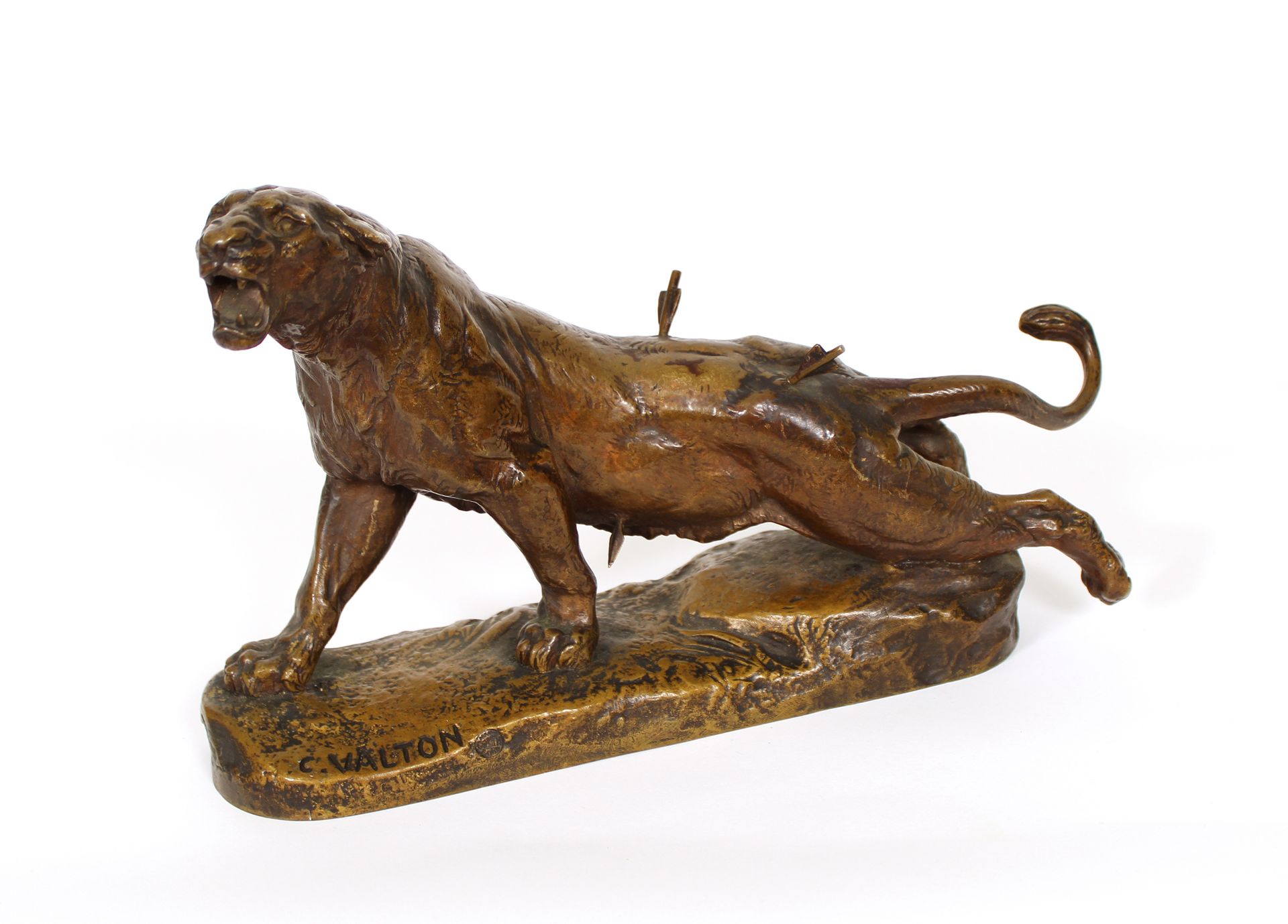 Null Nach Charles VALTON (1851-1918)
Verwundete Löwin
Bronze mit goldbrauner Pat&hellip;