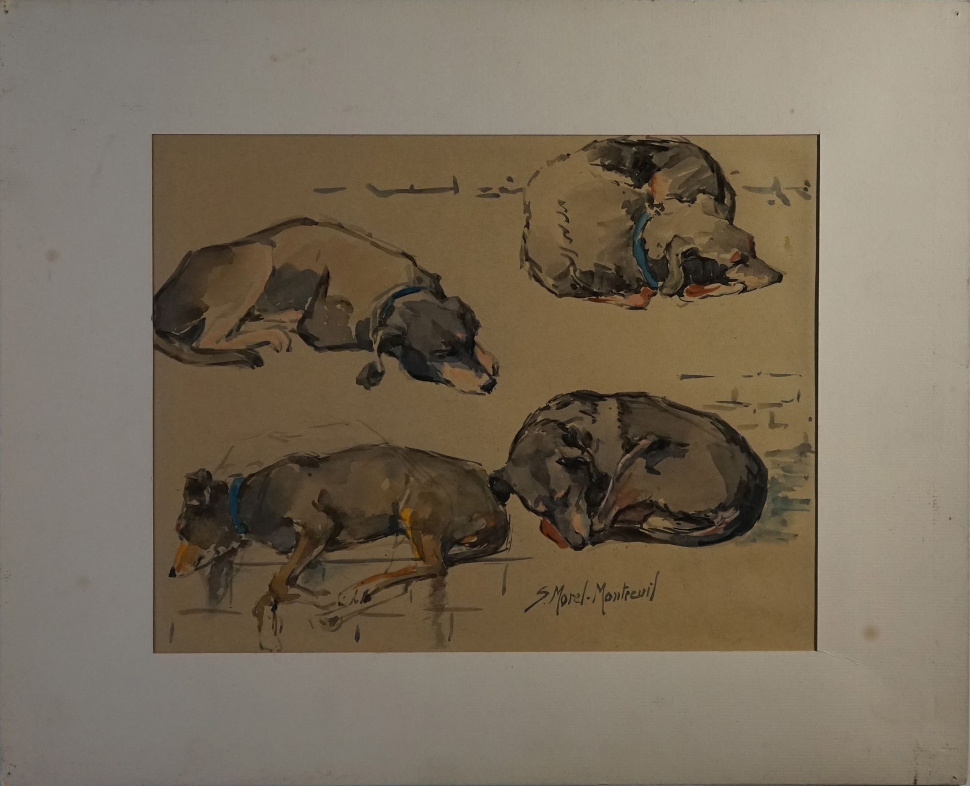 Null Suzannne MOREL-MONTREUIL 

Study of dogs. Watercolor on paper, signed lower&hellip;