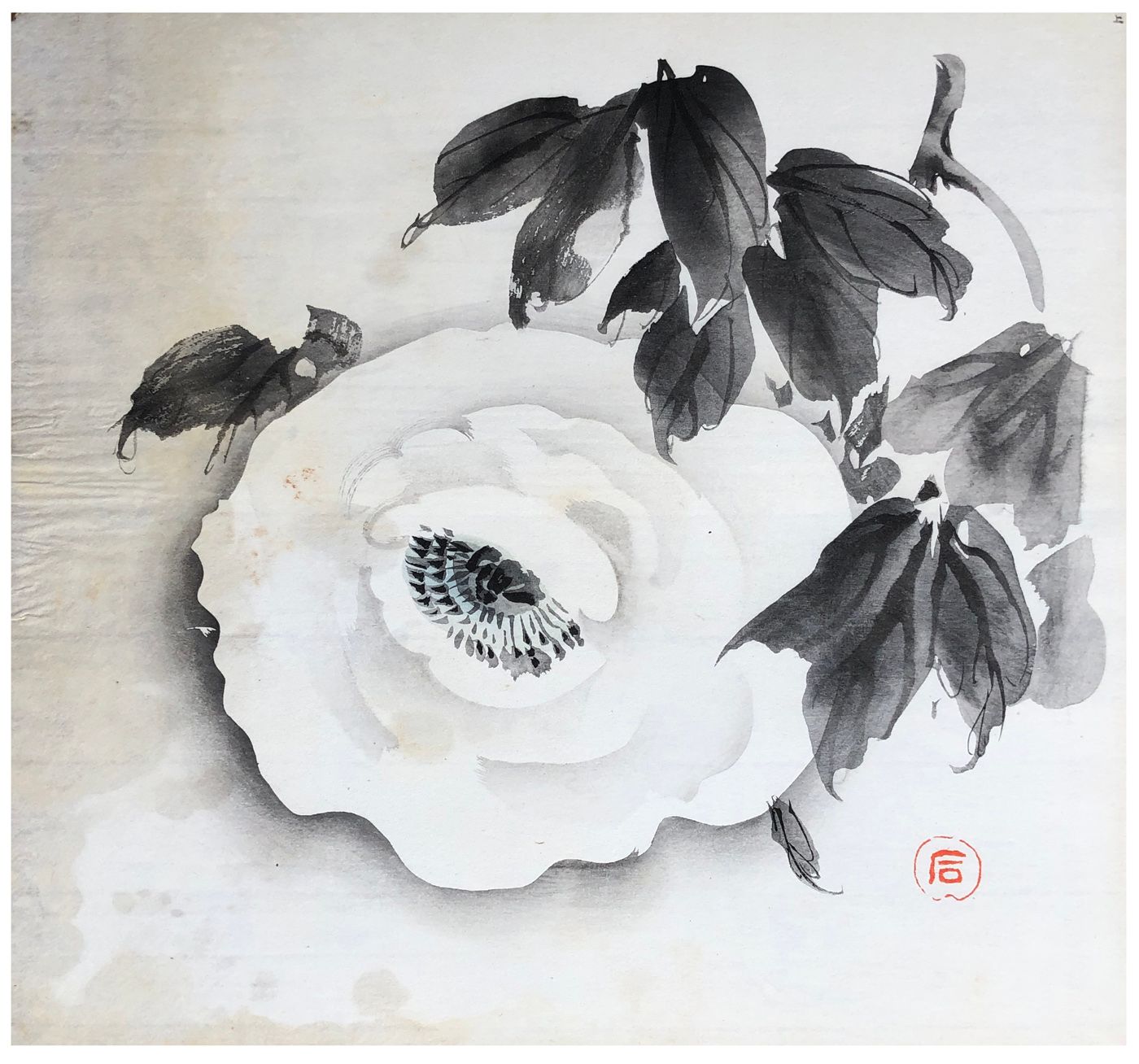 Japanese Woodblock Print by Nagamachi Chikuseki White Rose 印刷品的左侧有一些污点，还有褪色。 尺寸：&hellip;