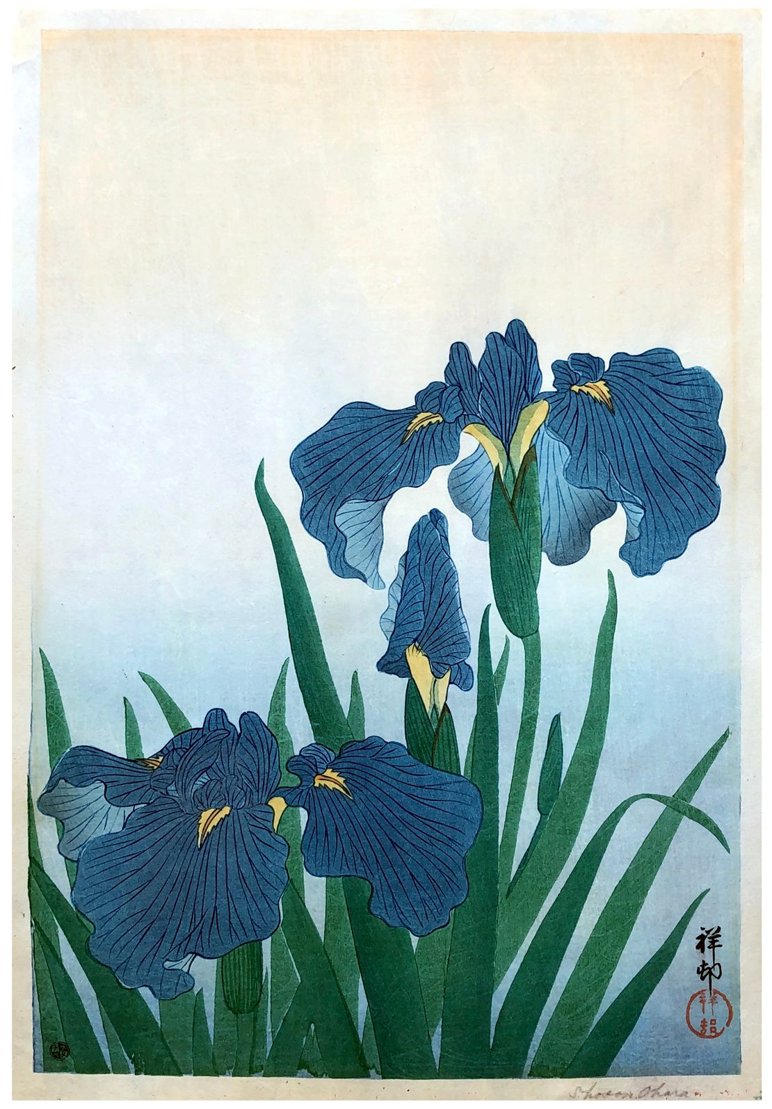 Japanese Woodblock Print by Ohara Koson Irises 
Légère décoloration, sinon bon é&hellip;