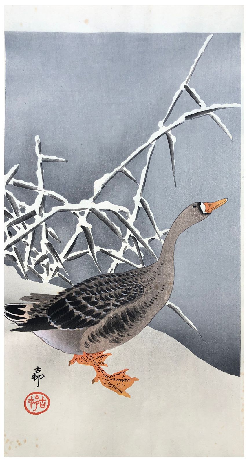Japanese Woodblock Print by Ohara Koson Goose and Reeds in Snow 
有轻微晕染，其他都很好。 尺寸&hellip;