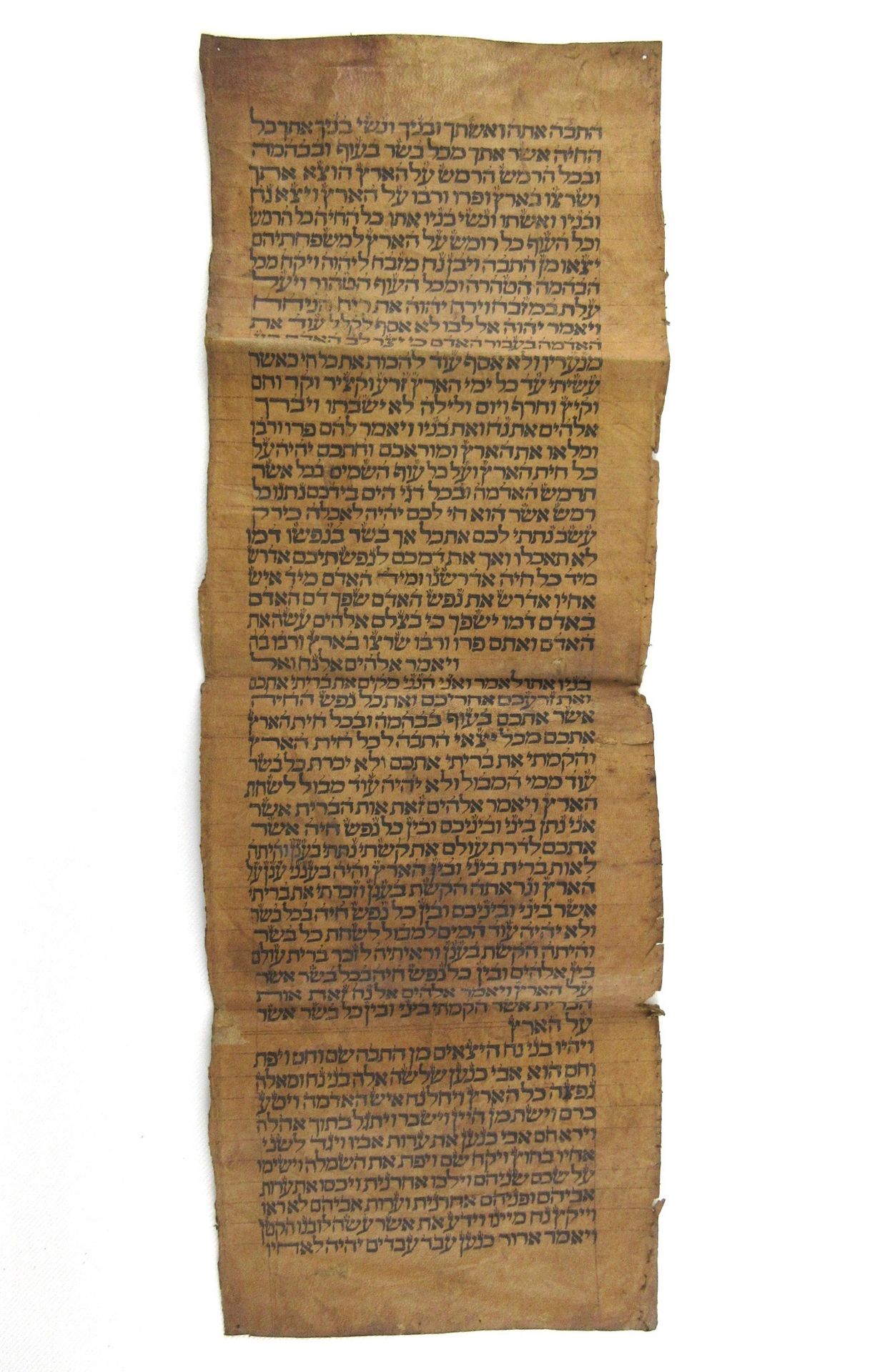 Null Ecrit hébraïque, relatant un extrait de la genèse, sur cuir, circa 1900, 56&hellip;