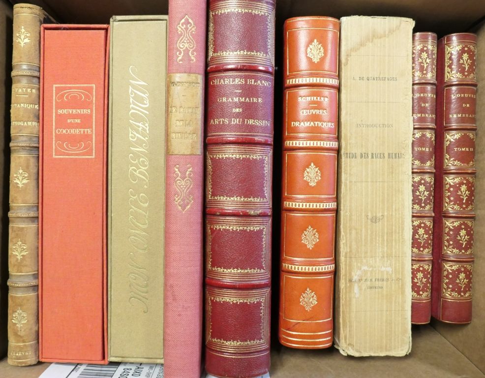 Un carton de livres comprenant des livres illustrés 其中的现代Xxème。
- Claude Tillier&hellip;