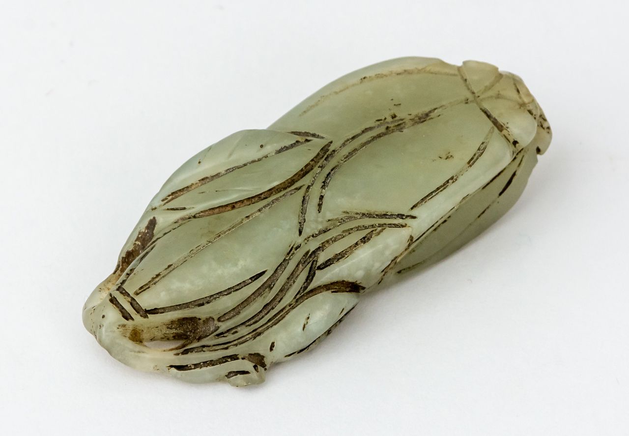 ZIKADE Chine, jade

1,4 x 6,5 x 2,7 cm