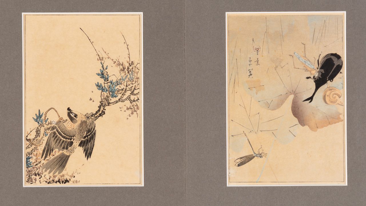 VOGEL UND INSEKTEN 2张纸上印刷品，可能是日本，约1900年

每个25 x 16厘米