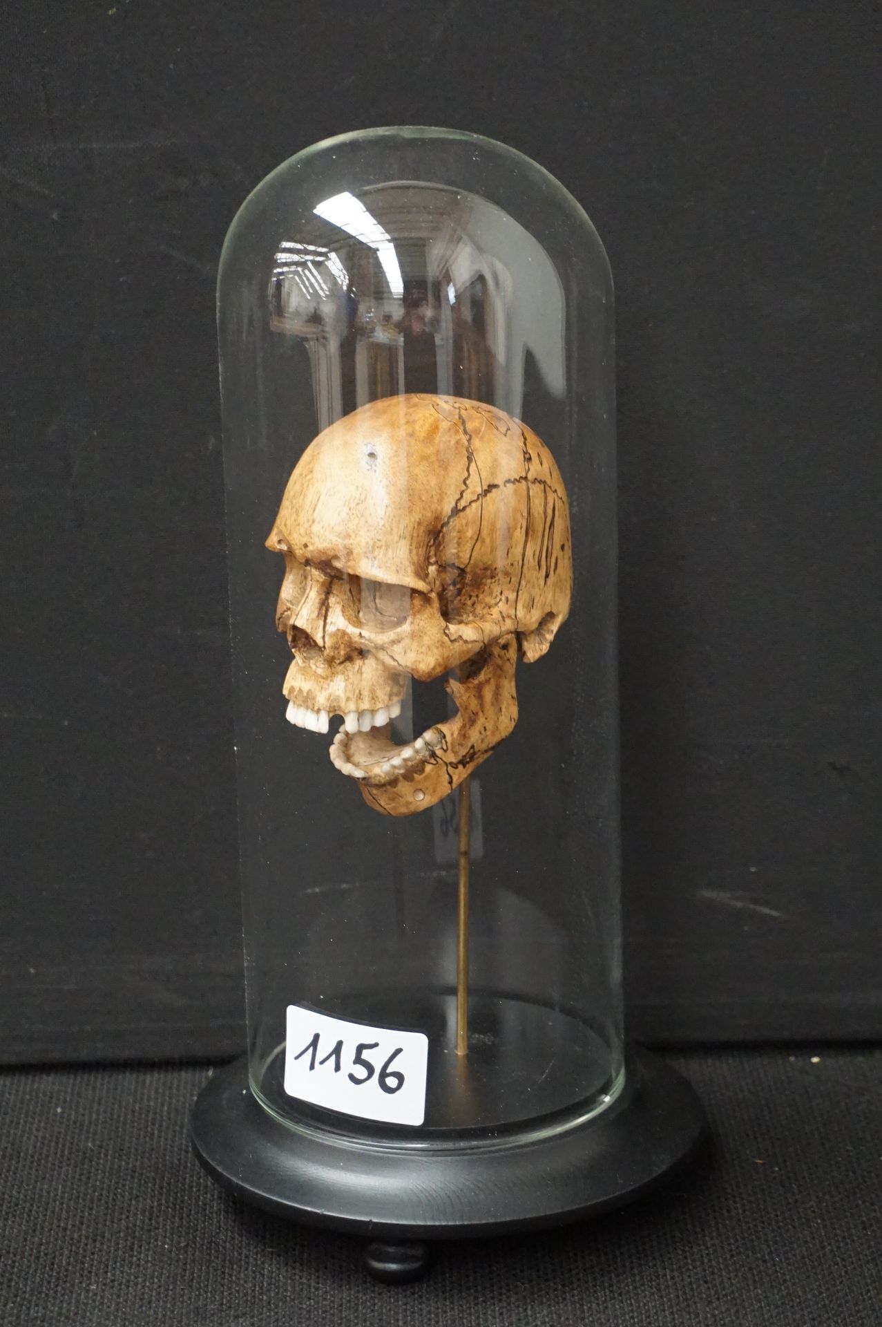 Memento Mori 
纪念品 - 木雕 - 可移动的挂钩 - 球体高度：28厘米 Vanity - Articulated Jaw