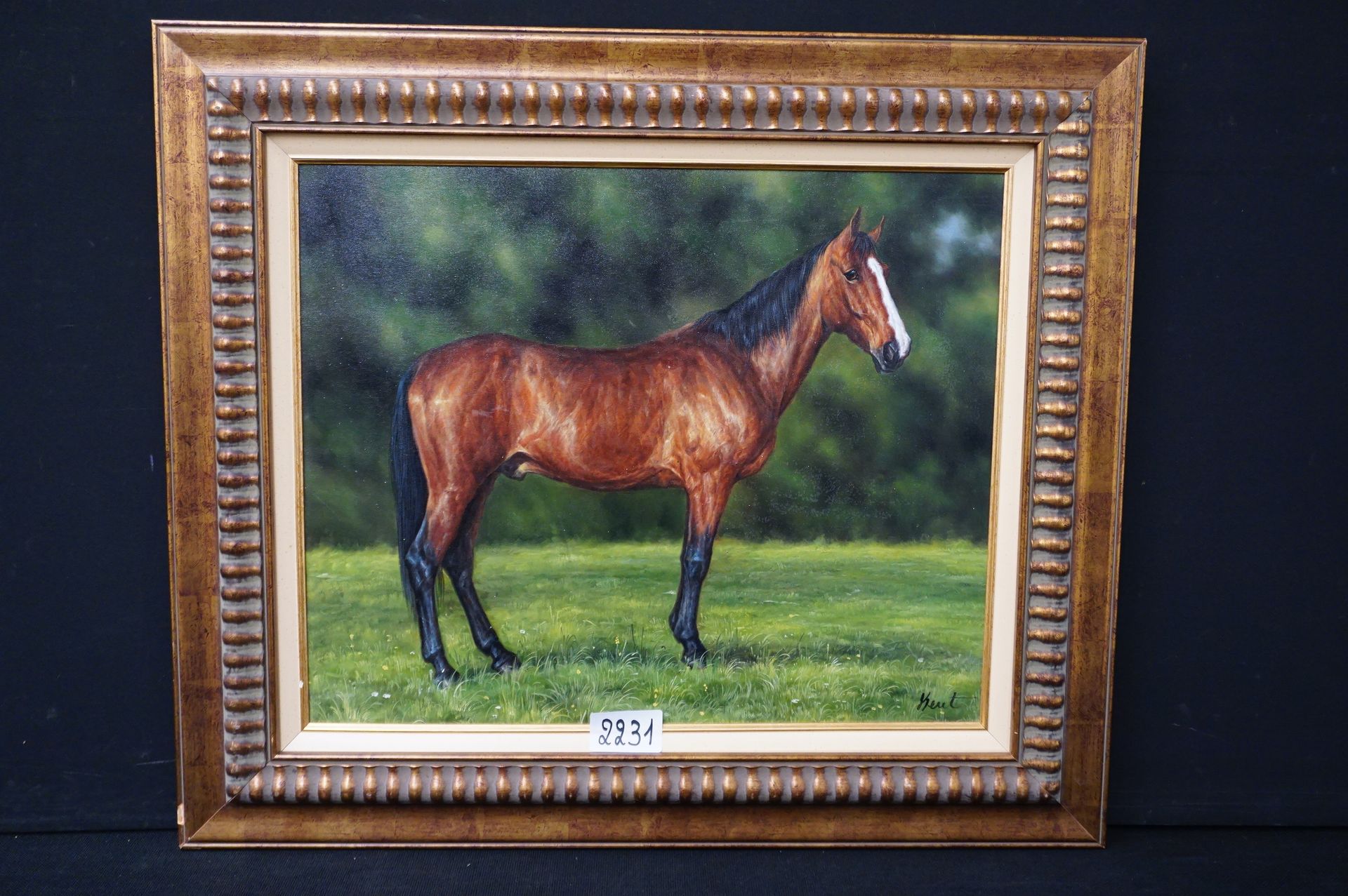 KENT "Cavallo - purosangue arabo" - Olio su tela - Firmato - 50 x 60 cm