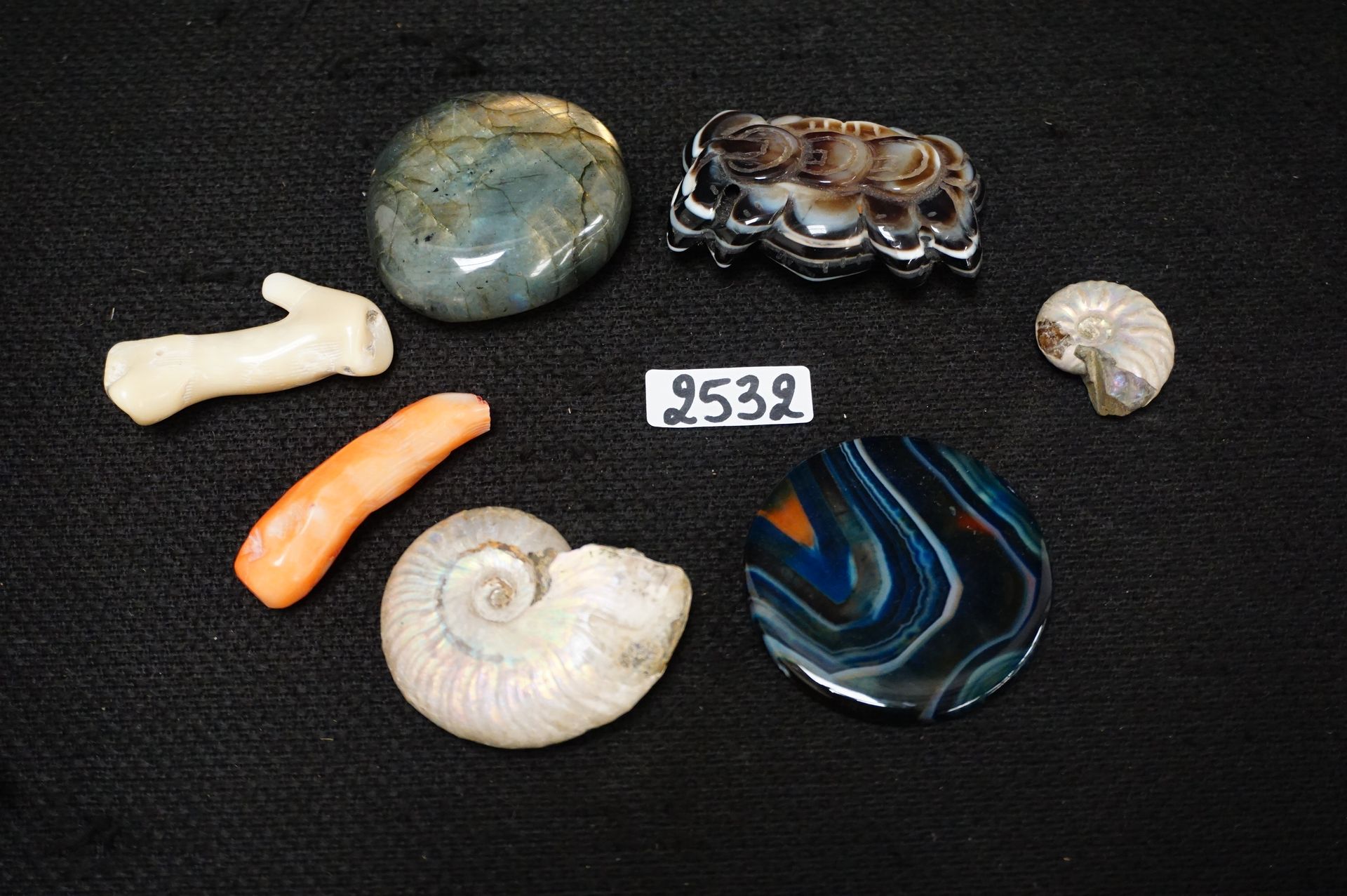 Null 
Lot de roches et de fossiles - dont Labradorite - Ammonite irisée agate, o&hellip;