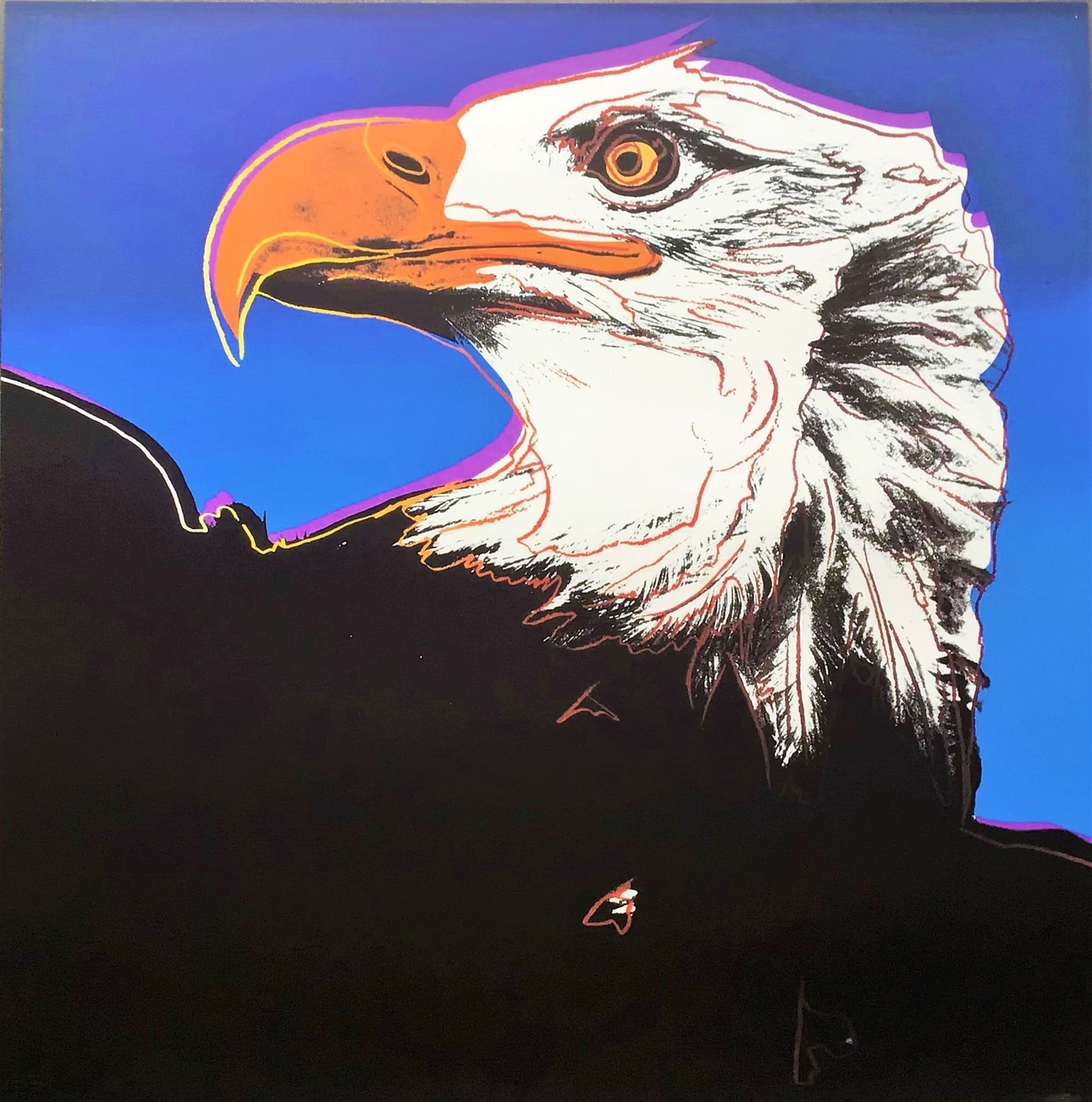 Null 安迪-沃霍尔/濒临灭绝的物种。 石版画，在蓝色渐变的背景上描绘了一只秃鹰。 1983年左右由罗纳德-费尔德曼编辑。 背面有印章+"Lenox博物馆委员&hellip;