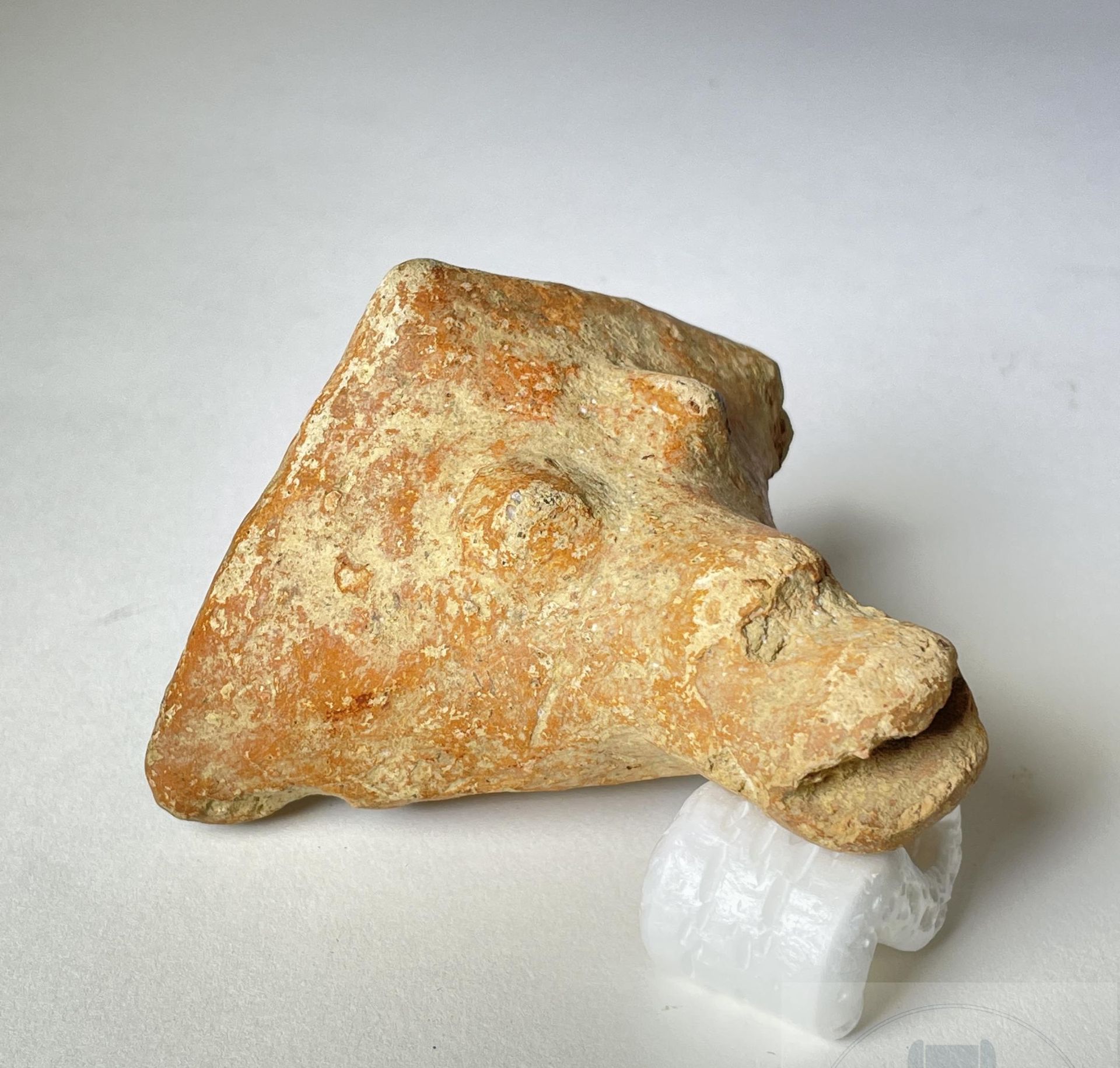 Null Zoomorpher Kopf/Fragment einer Skulptur oder eines Töpfers. Djenne, Mali. T&hellip;