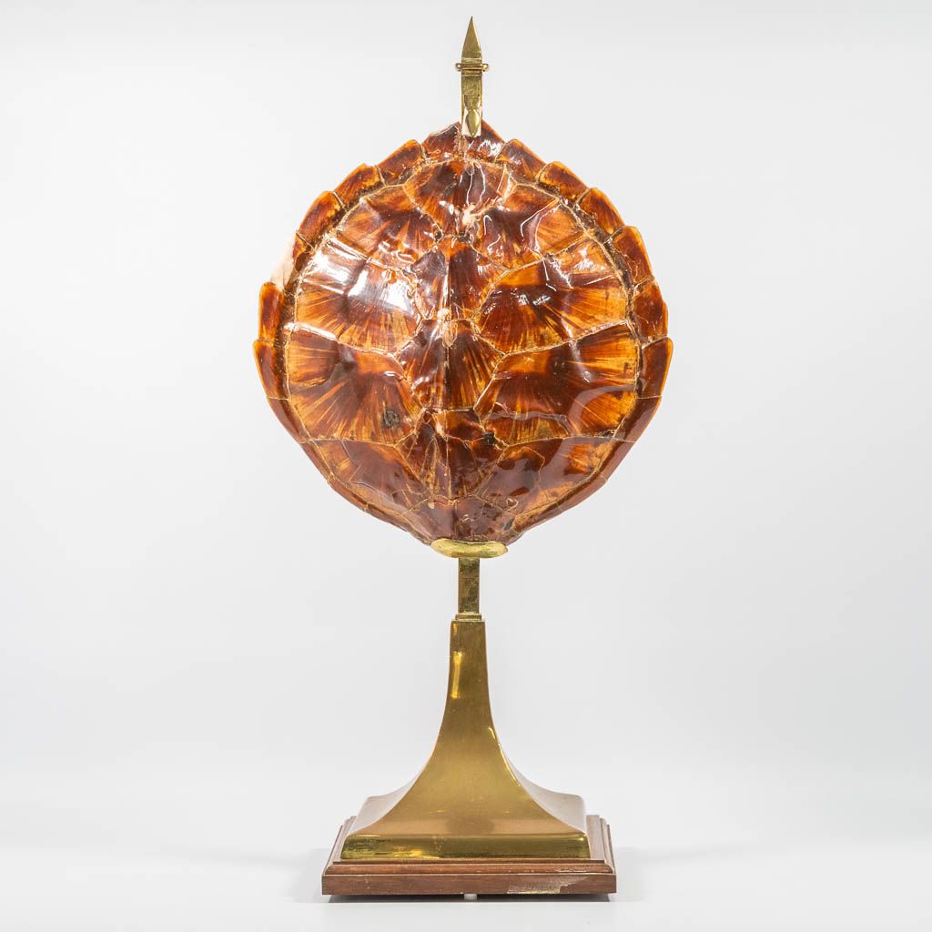 Null An antique table lamp, made of a turtle shell and brass, in the style of Di&hellip;