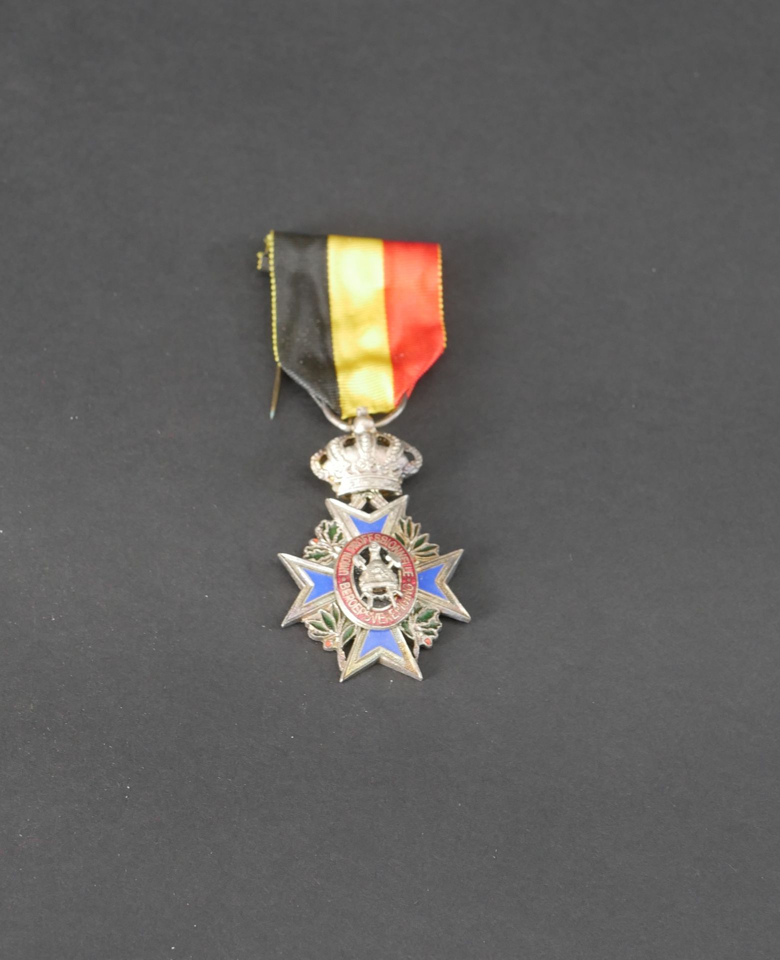 Null 比利时。一级劳动奖章，镀金、银铜和珐琅。附有镀银铜和珐琅的职业联盟勋章。