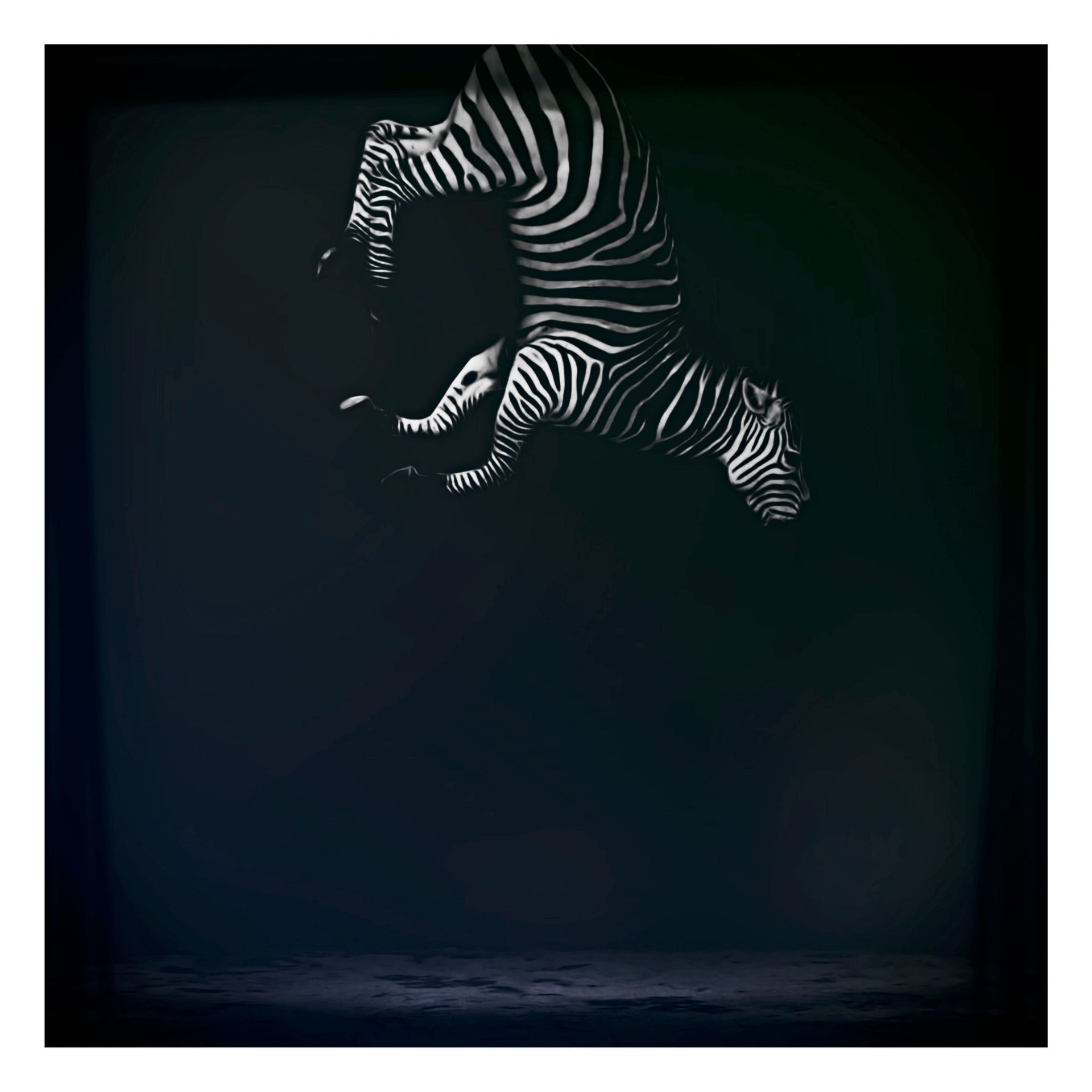 Null 
MR STRANGE - "Eqqus Zebra Last Specimen"。 
限量30张，采用Fedrigoni Tintoretto ne&hellip;
