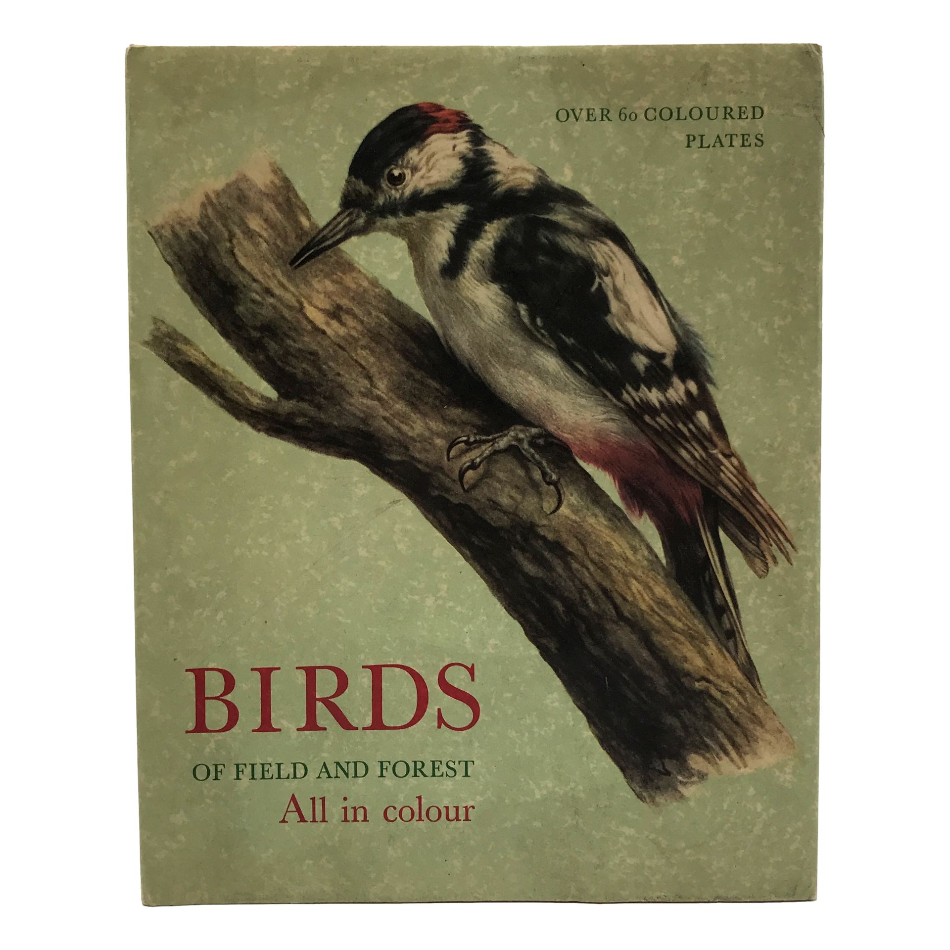 Null [ORNITHOLOGIE] DEMARTINI “Birds of Field and Forest” - 1 vol. Relié In-4 so&hellip;