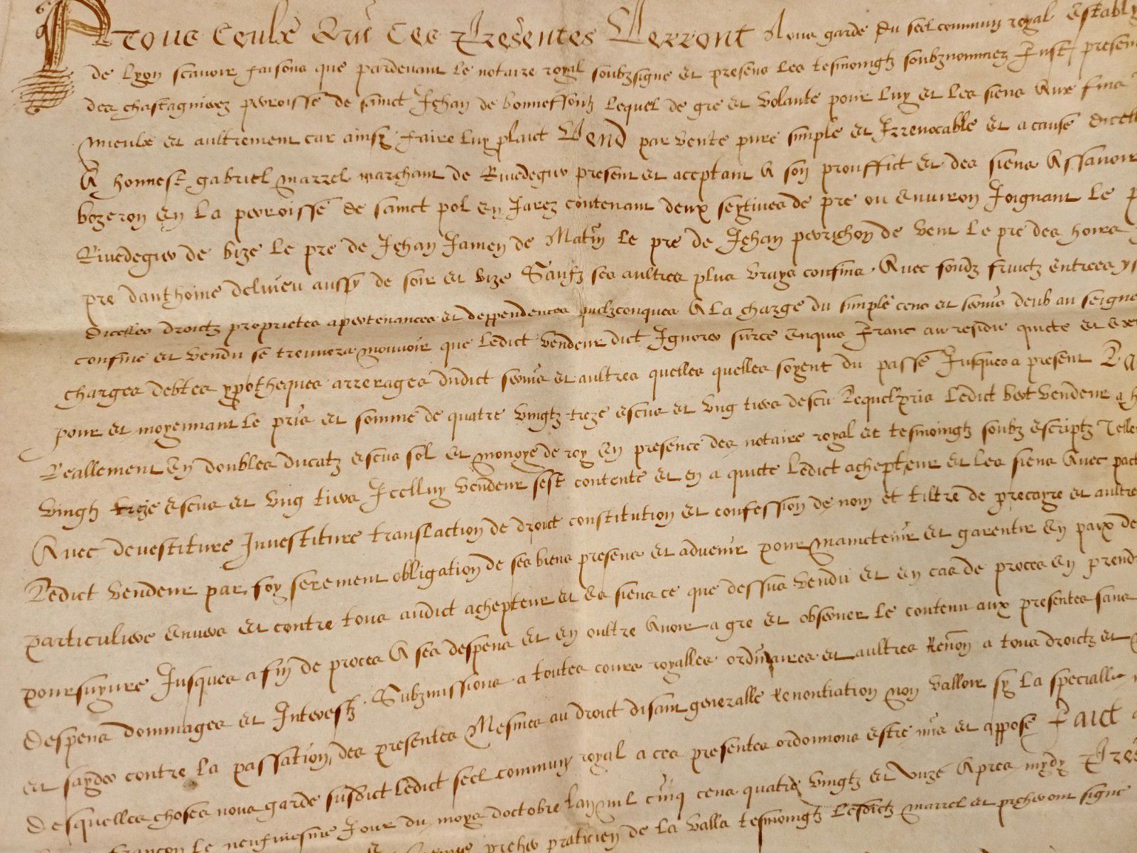 Null 
FOREZ. Belle pièce manuscrite, sur parchemin. Datée du 9 Octobre 1591. Ven&hellip;