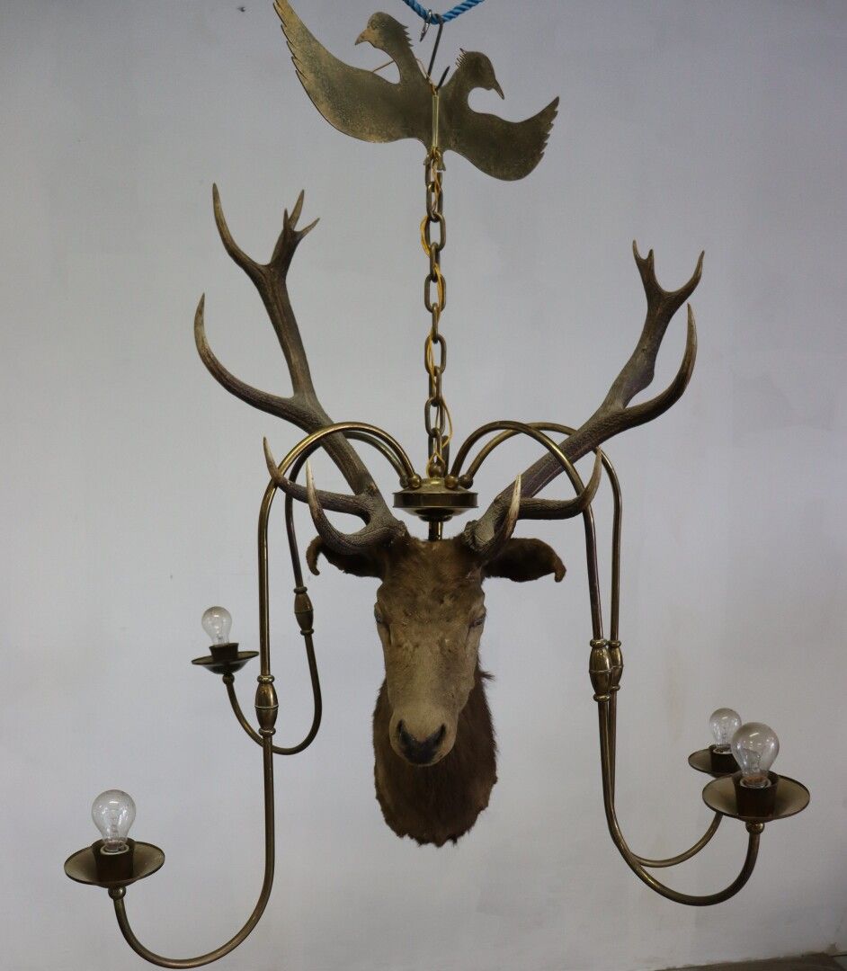Null 用鹿的战利品做成的惊人的吊灯。

镶嵌在黄铜中，有五个灯。

约高118厘米-宽80厘米