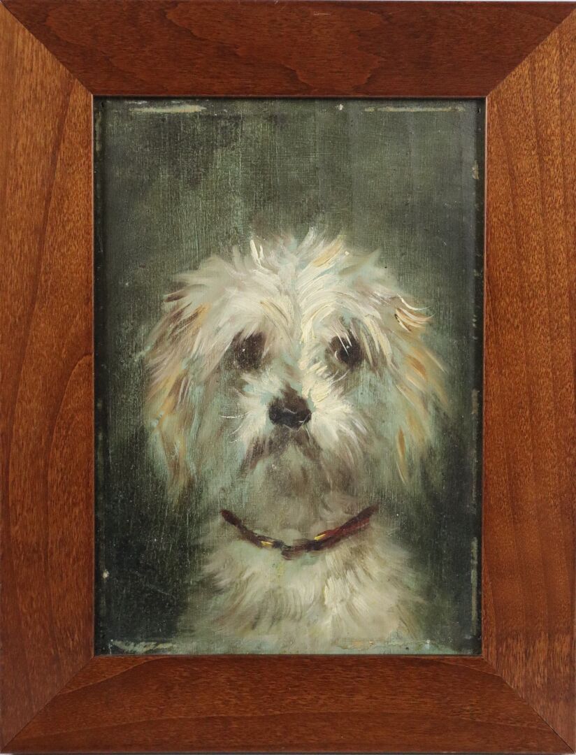 Null 儒勒-夏尔迪尼（1842-1892）。

比熊犬。

板面油画，左下角有图案。

高_22厘米，宽_16厘米