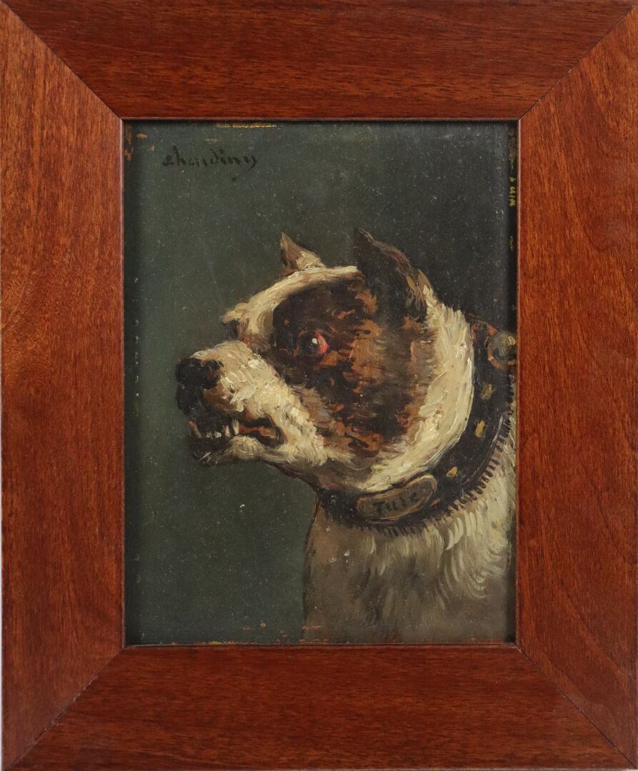 Null 儒勒-夏尔迪尼（1842-1892）。

美国斗牛犬名为TURC。

面板油画，左上角有签名。

高_16,4宽_12,2厘米