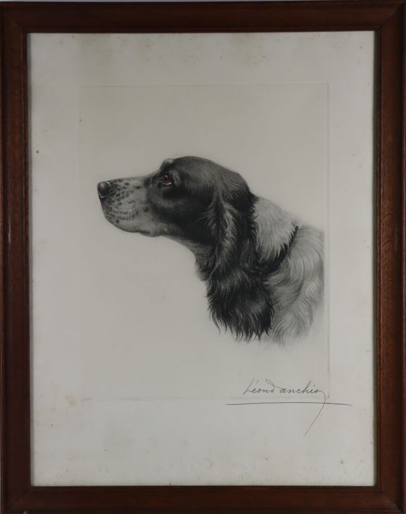 Null 莱昂-丹辛（1887-1938）。

英国赛特犬。

蚀刻和水印，右下方有铅笔签名，编号为242/500。

有狐臭。

高_47厘米，宽_35.5厘&hellip;