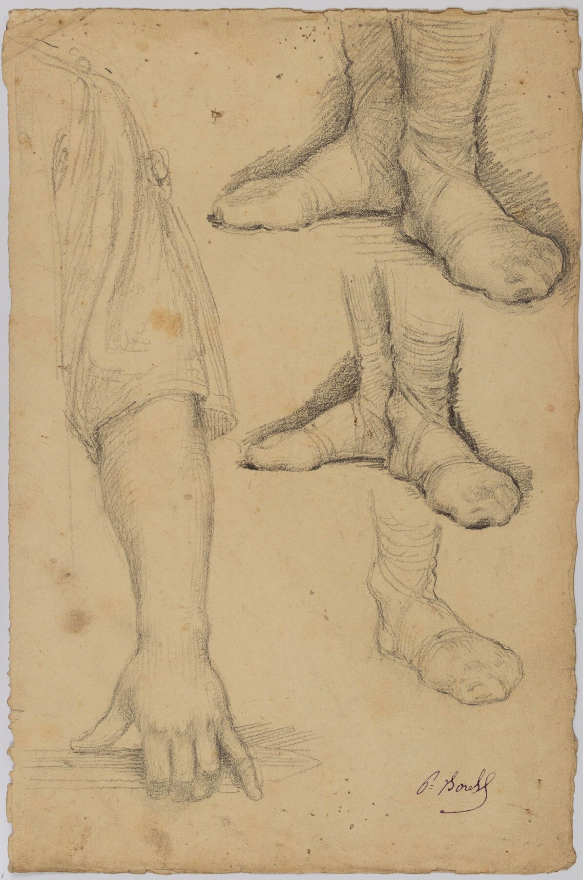 Null Paul BOREL (1828-1913).
Etudes de pieds et de bras.
Dessin.
H_33 cm L_22 cm