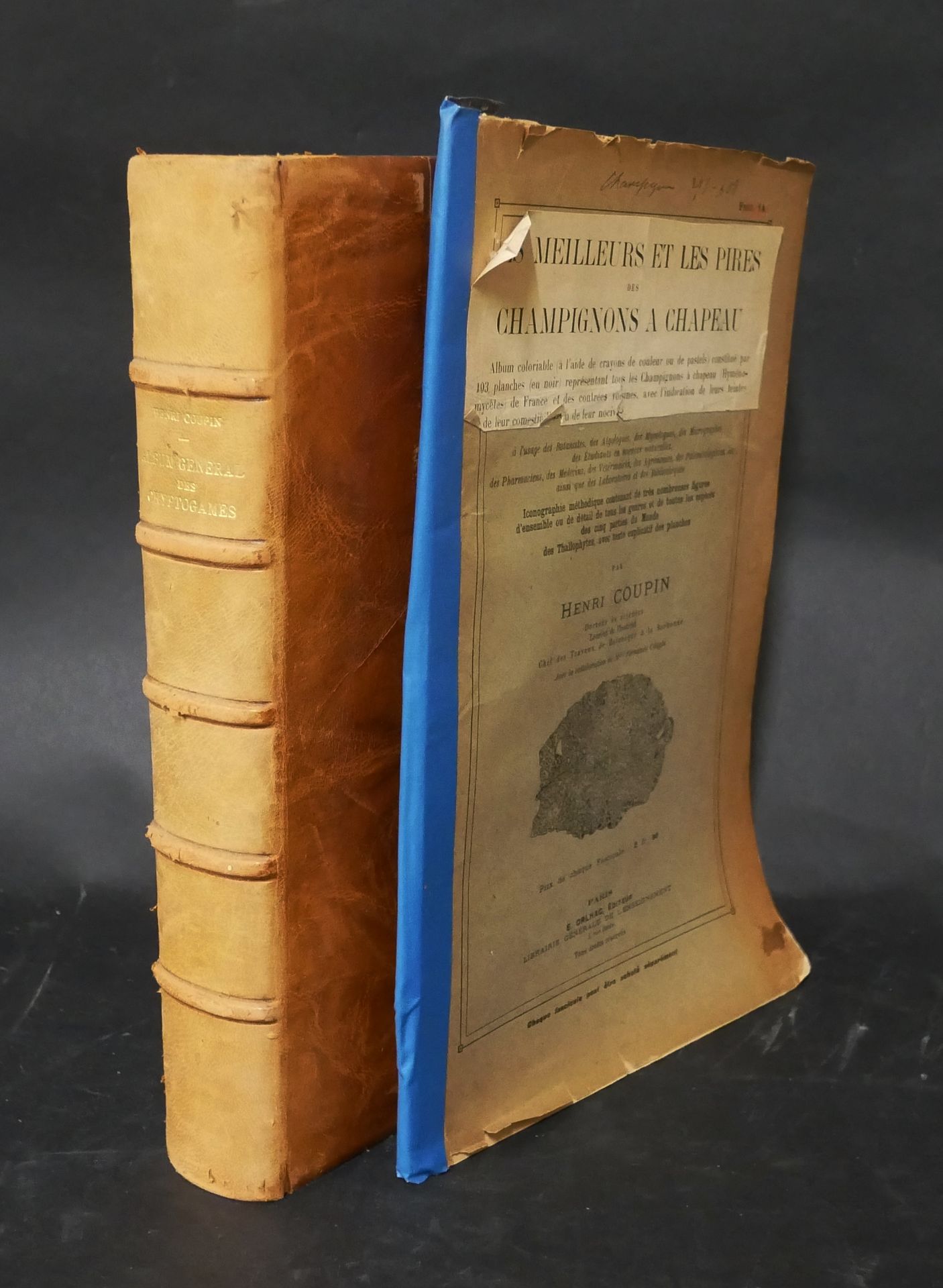 Null Henri COUPIN 

- Álbum general de criptógamas. Hongos (setas). 3 volúmenes &hellip;