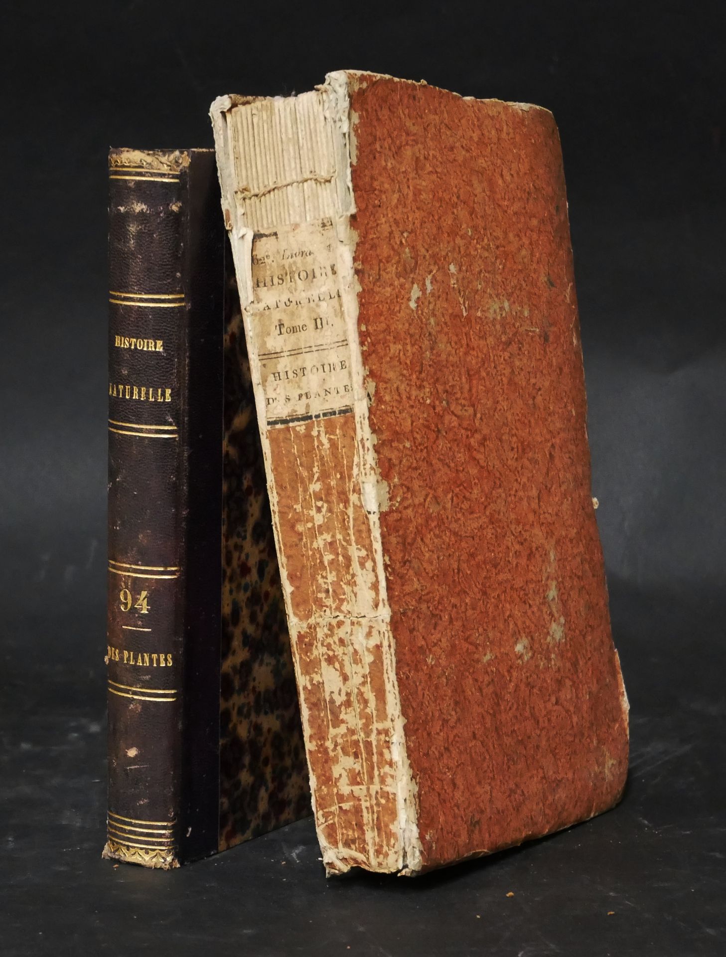 Null C.F. Brisseau Mirbel.

植物的一般和特殊自然史。第三卷。蘑菇、海藻、蕨类植物。黑色的刻板。Paris, imprimerie F&hellip;